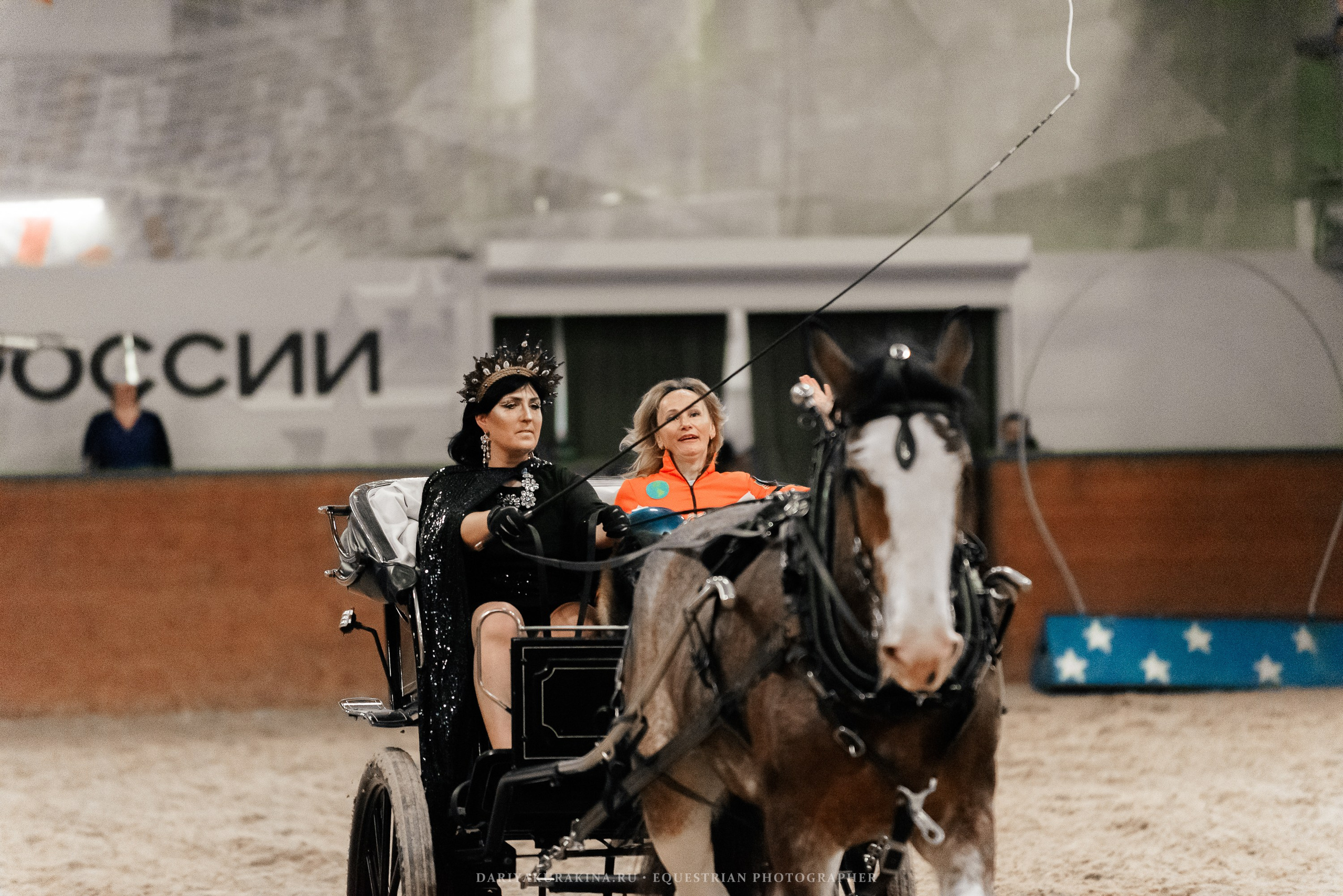 Конное представление «Дыхание Звёзд». Конный фотограф Куракина Дарья • Фотосессии с лошадьми