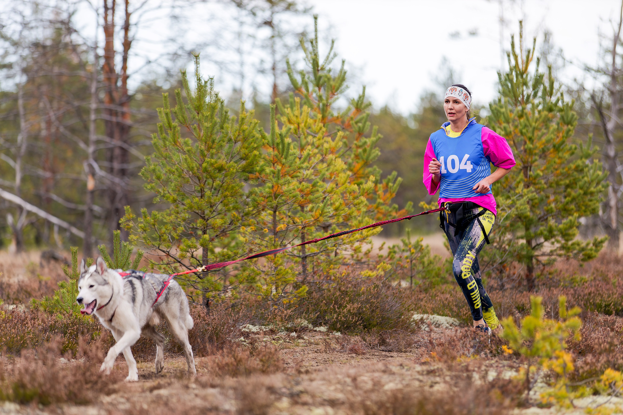 Чемпионат Санкт-Петербурга осень 2025. Irenephoto.ru