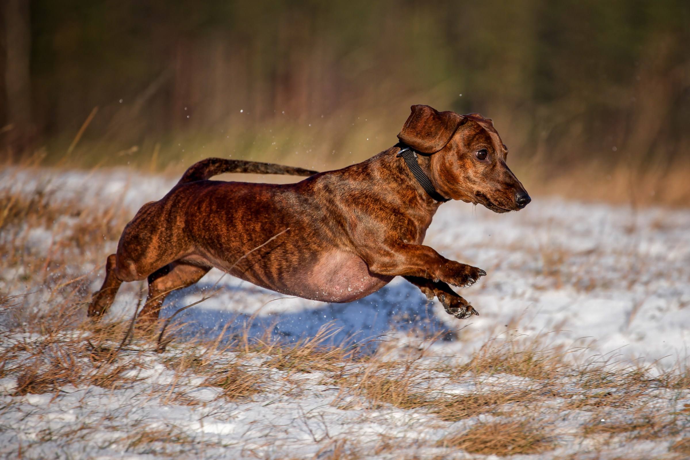 Lure Club 2025. Irenephoto.ru