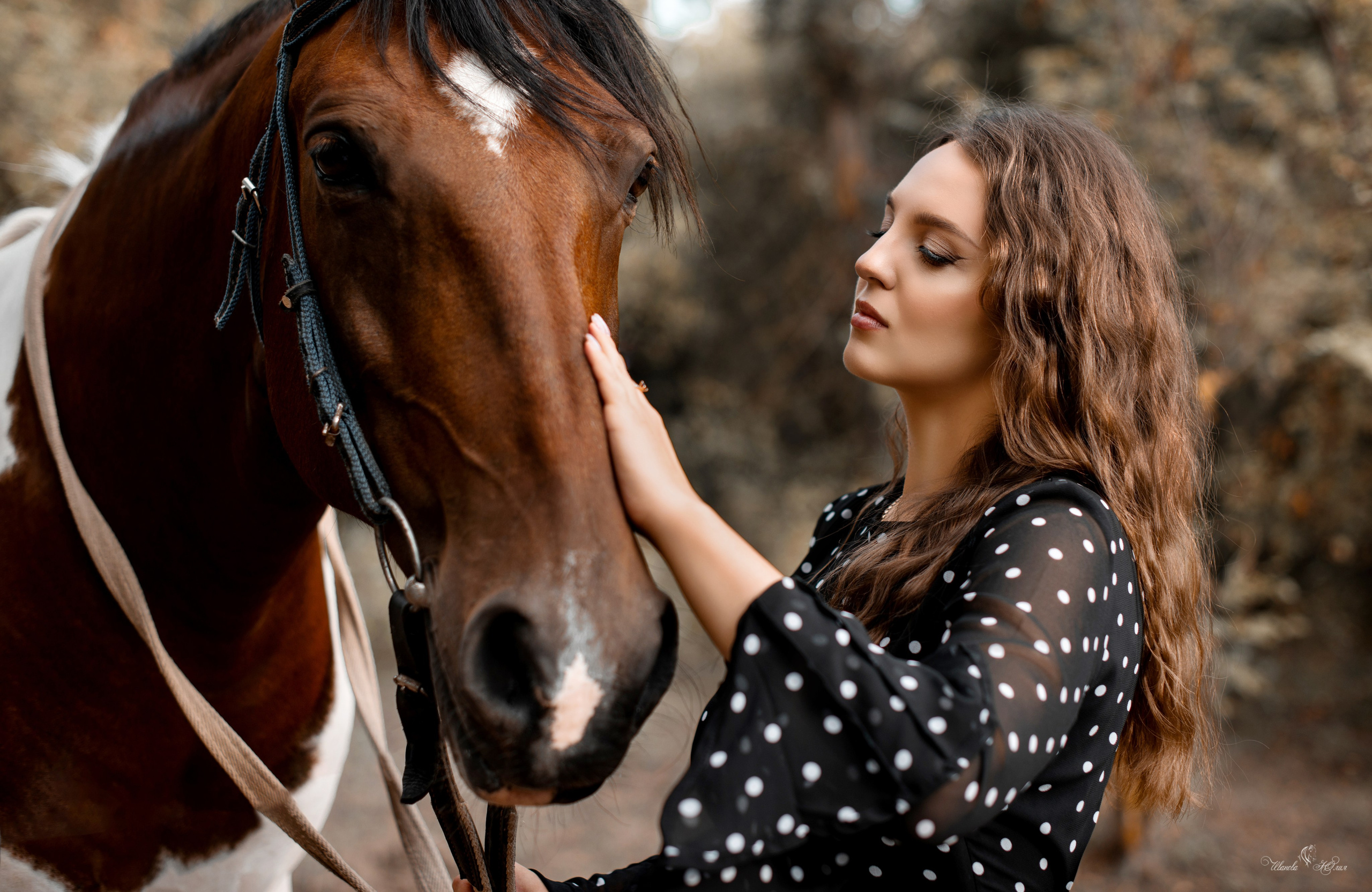 Владимир и Мария, Бугульма и Майя. Конный фотограф в Саратове Юлия Иванова