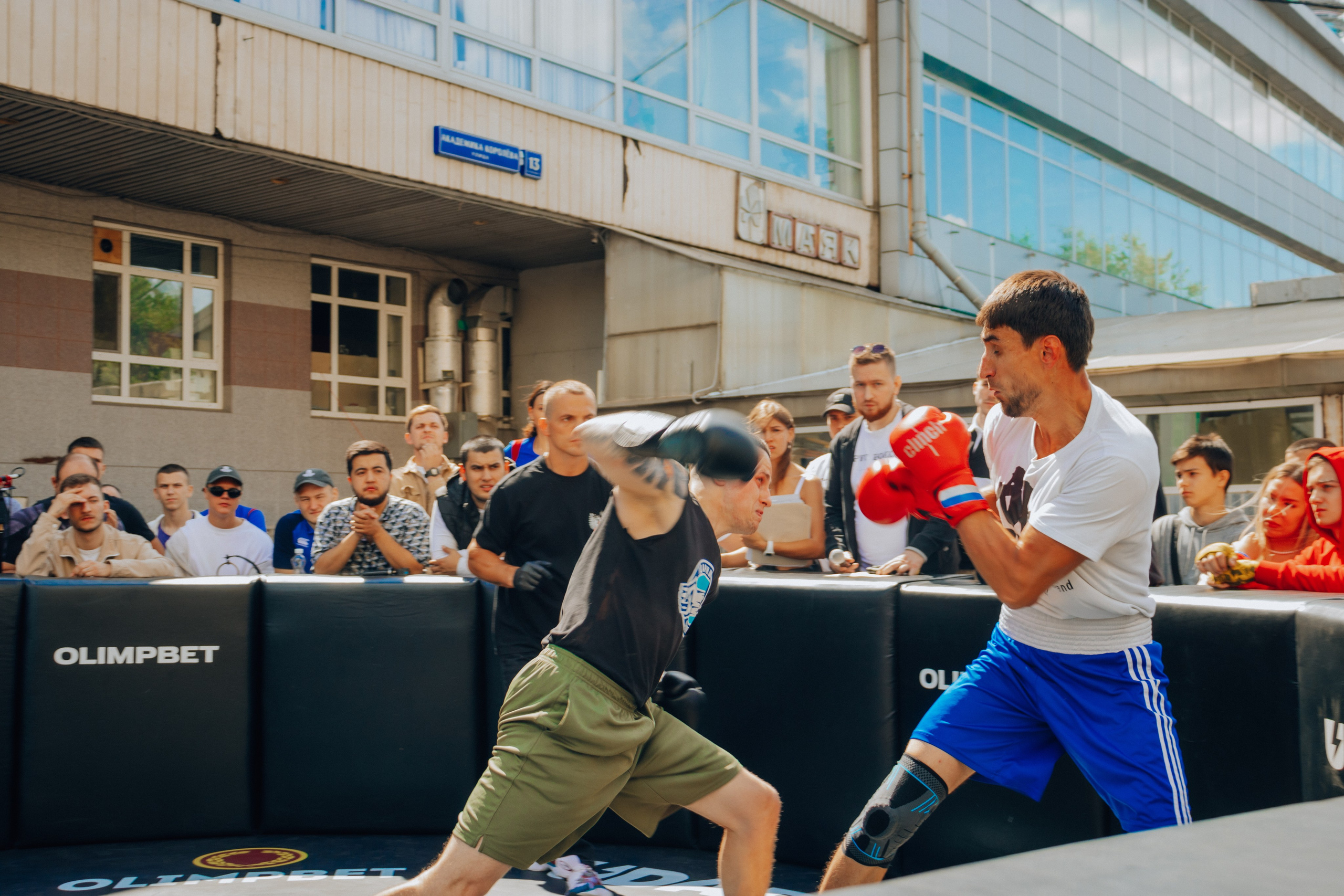 Открытый ринг. Анастасия Тен