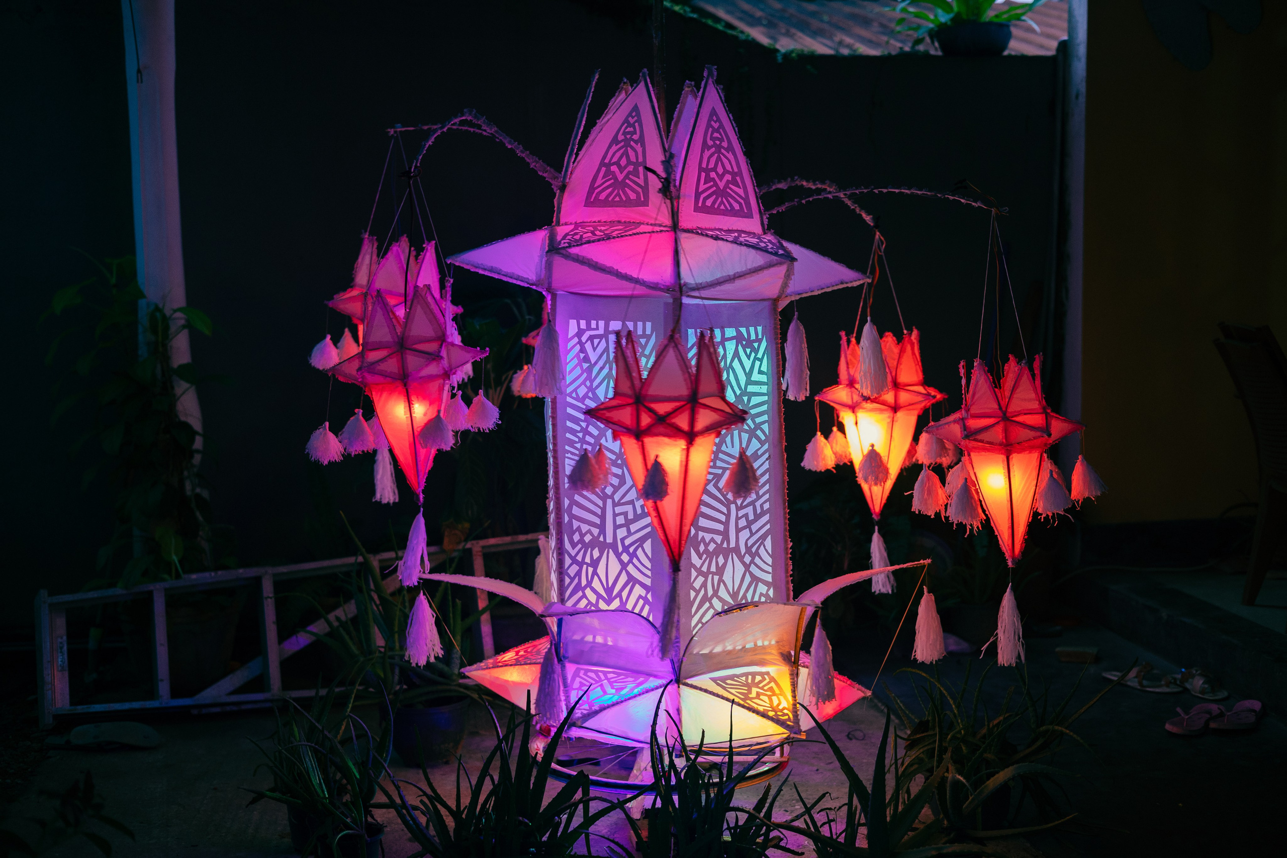 Vesak Poya 2023. Photographer Sonkina Tatiana (Tanya Ash)