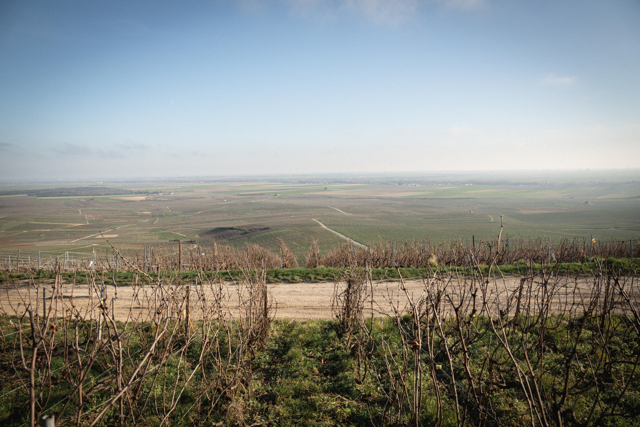 Champagne 2025. Фотограф в Крыму Алевтина Швец