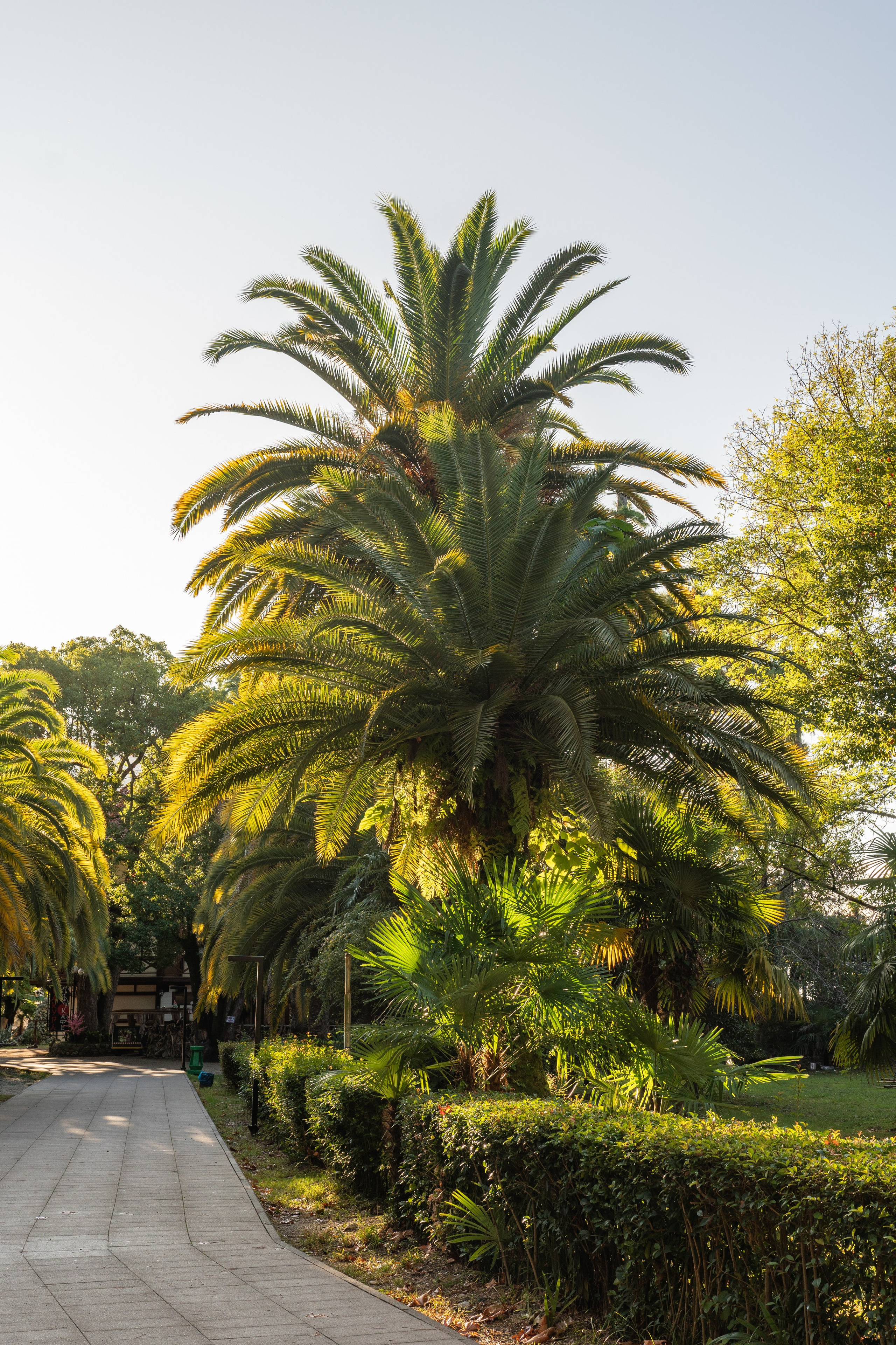 Абхазия. Gusarov Travel Photography