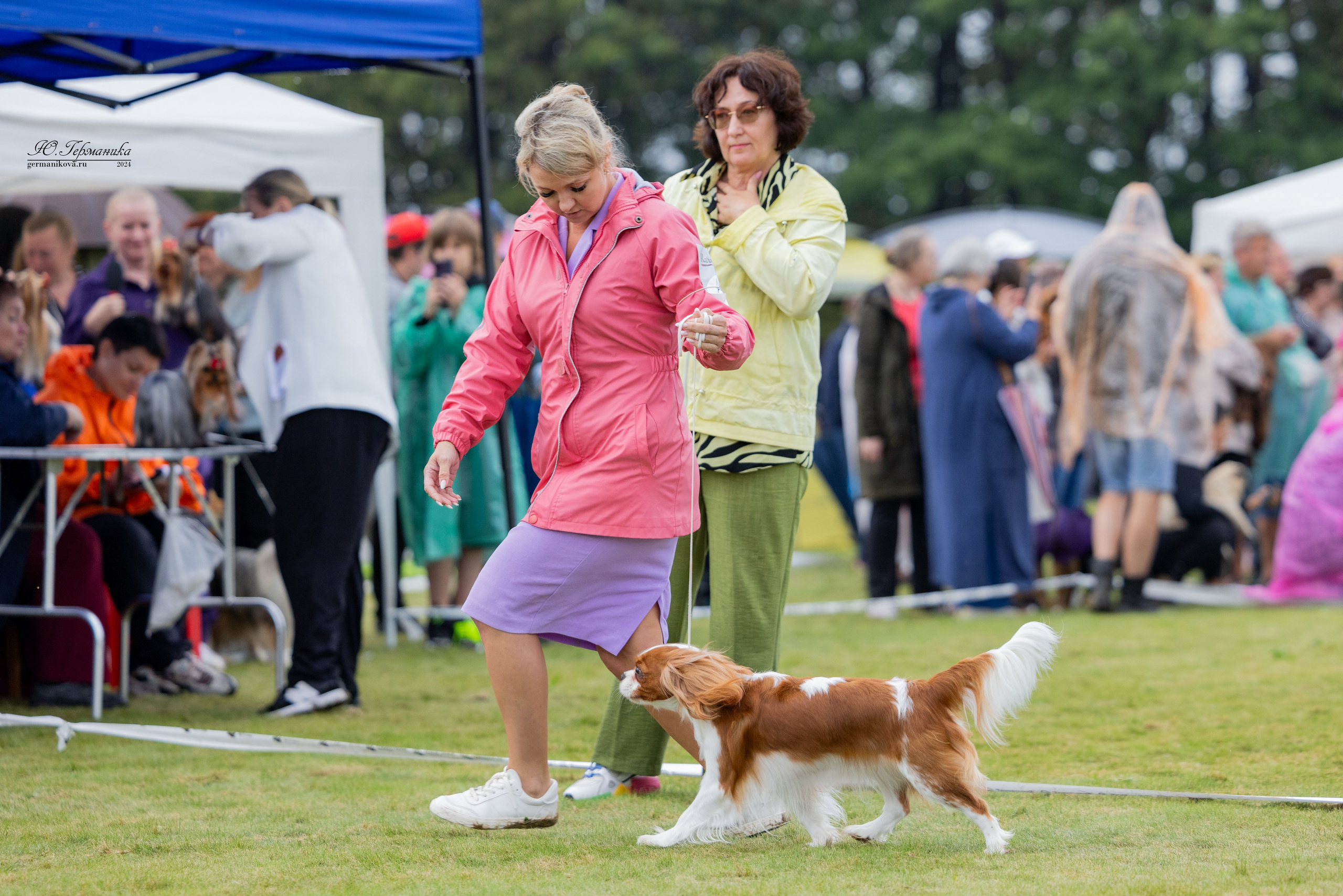 Ярославль 21.07.24 и Балашиха 13.07.24. Фотограф-анималист Юлия Германика