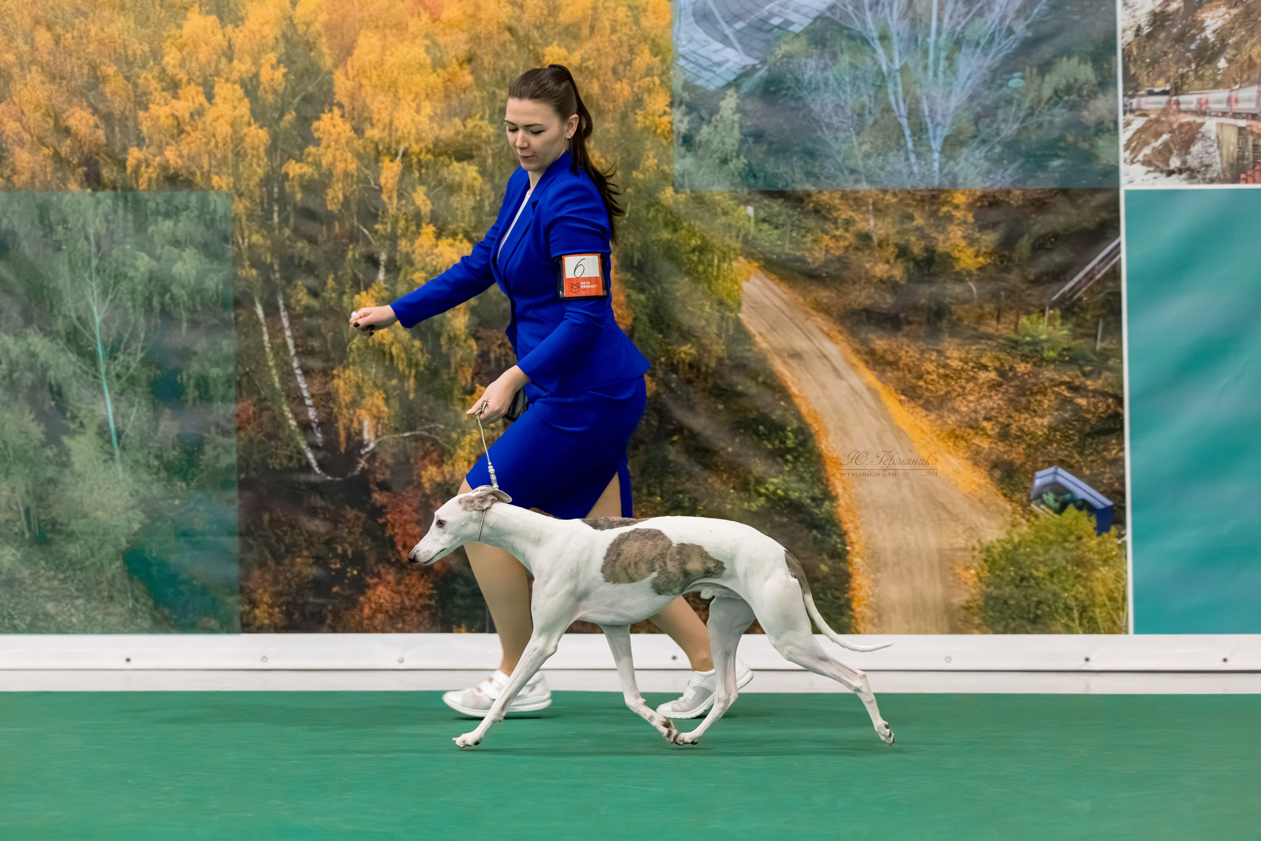 Крокус 21.12.2024,Сфера 29.12.2024. Фотограф-анималист Юлия Германика