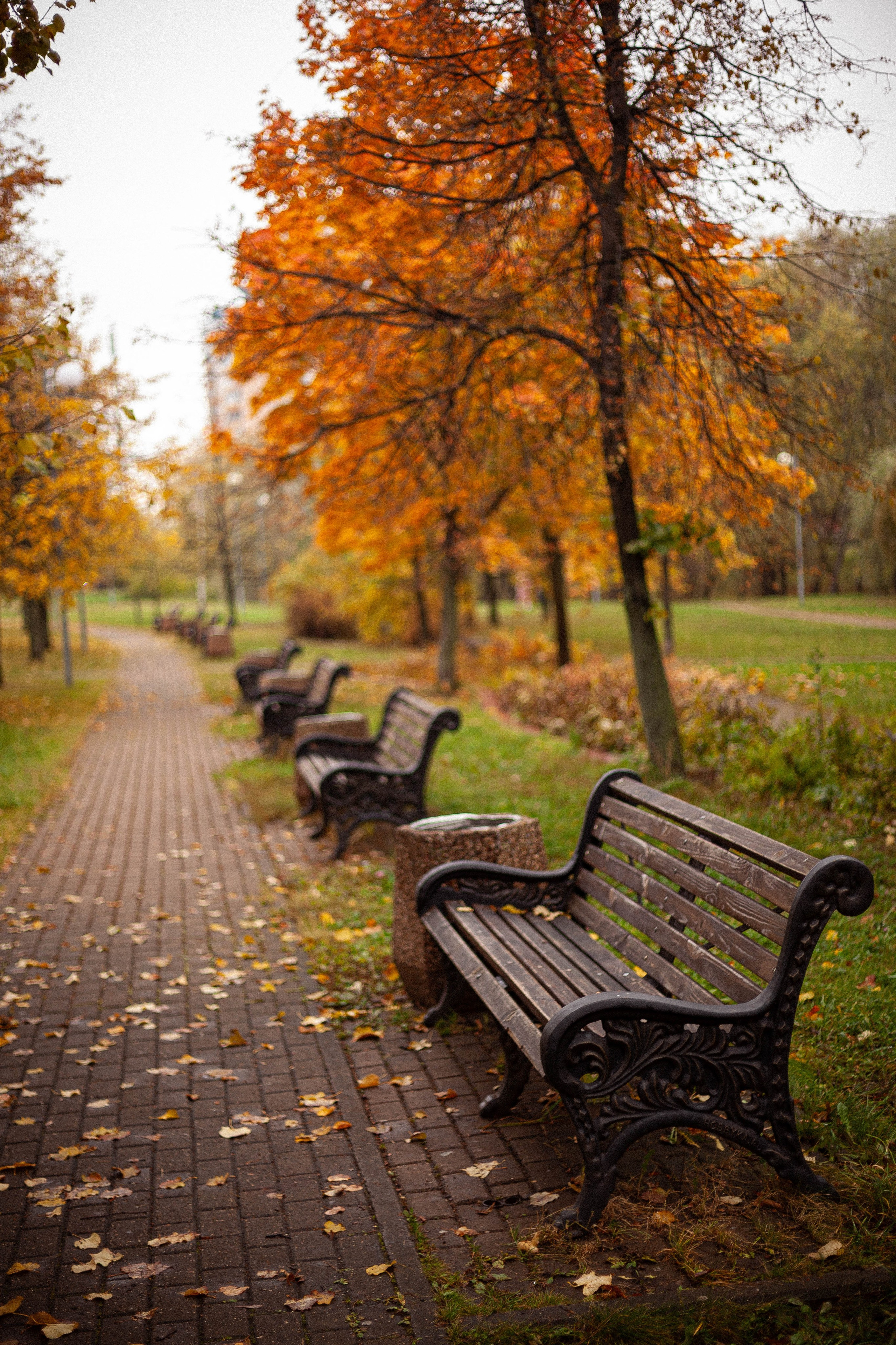 Осенняя серия. Фотограф в Москве. Екатерина Митина