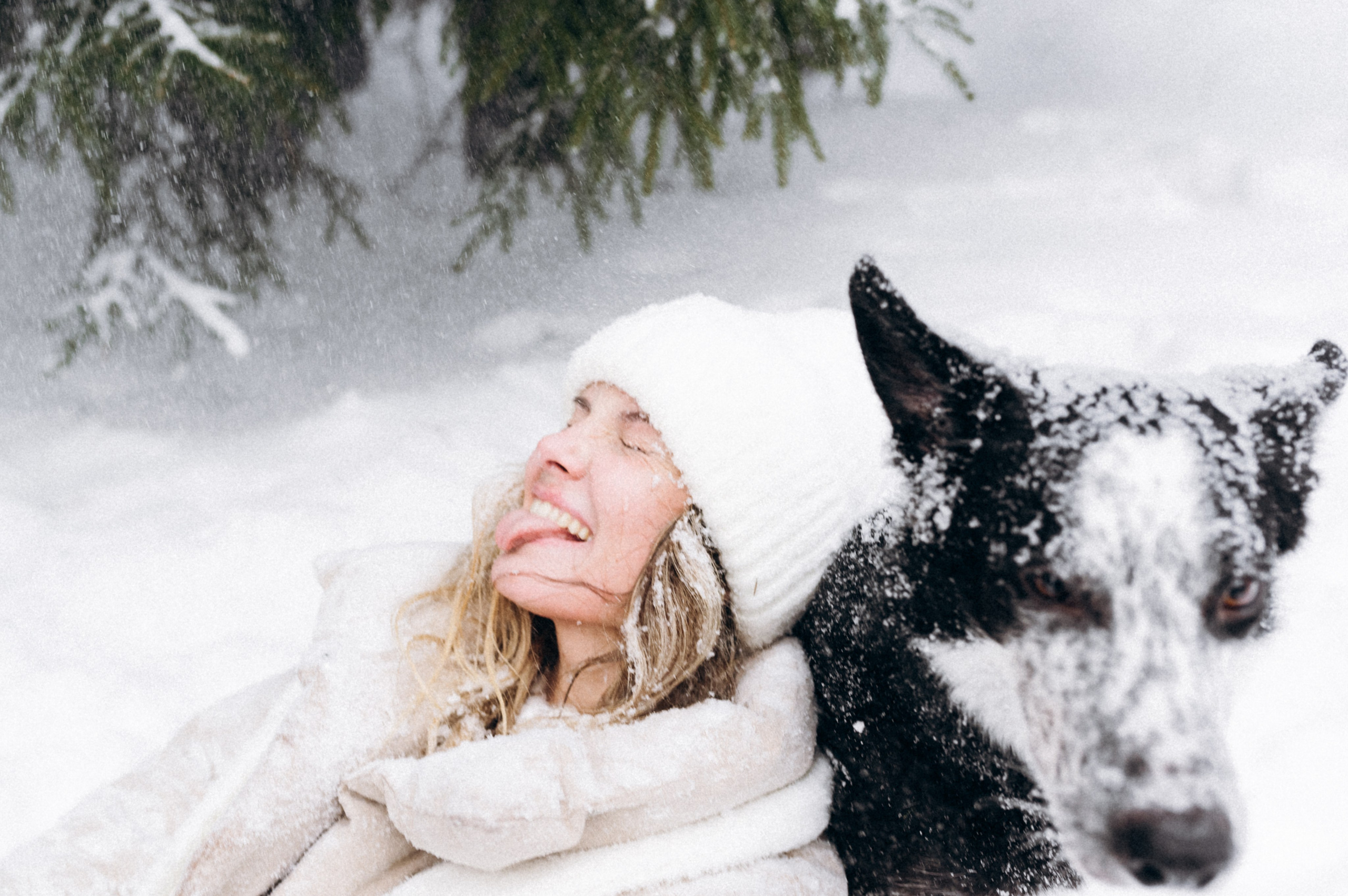 Аня и Милан. Фотограф анималист в Москве Ольга Агушева