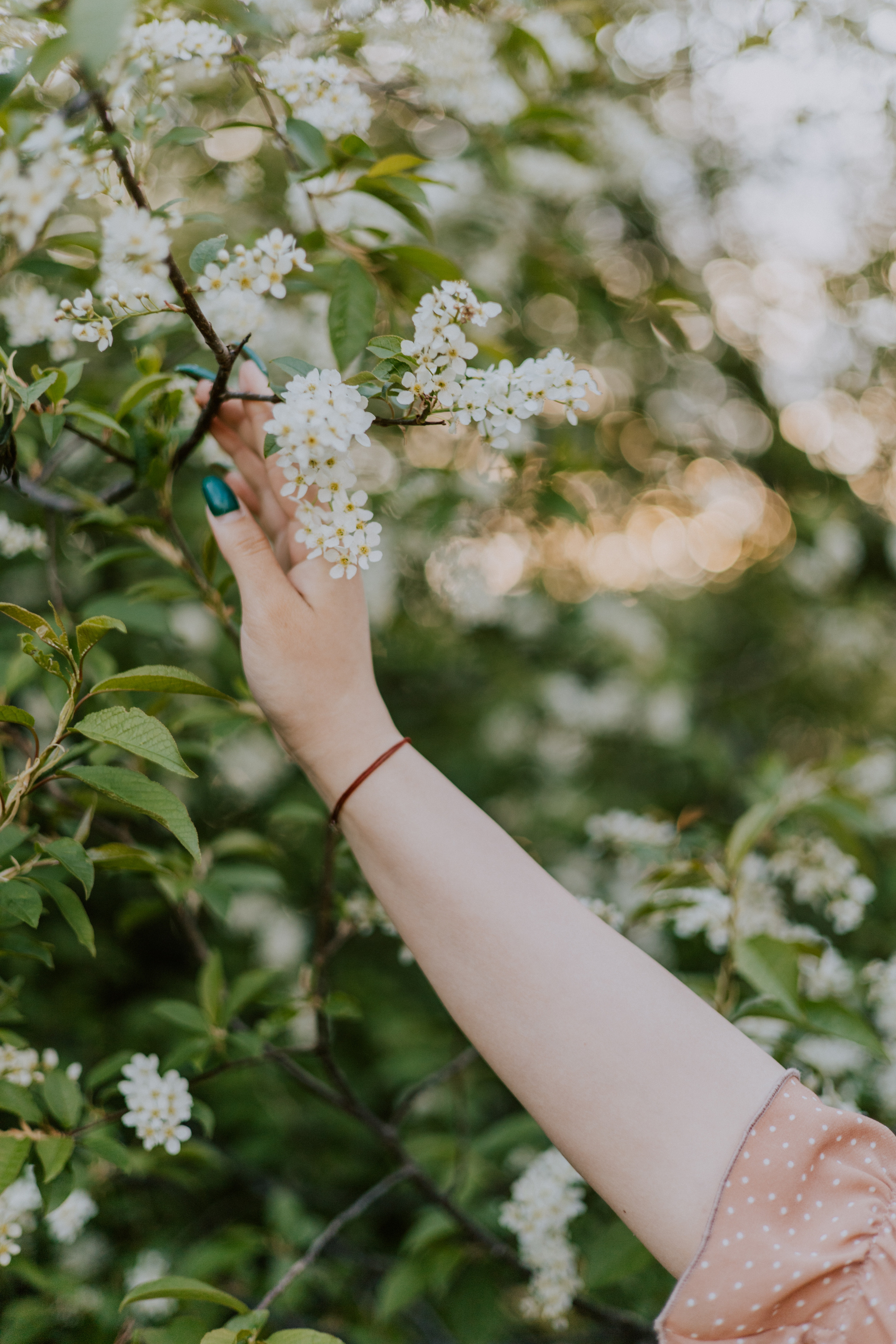 Люда и Паша. Фотограф Нестратенко Станислав г. Шилка, г. Чита