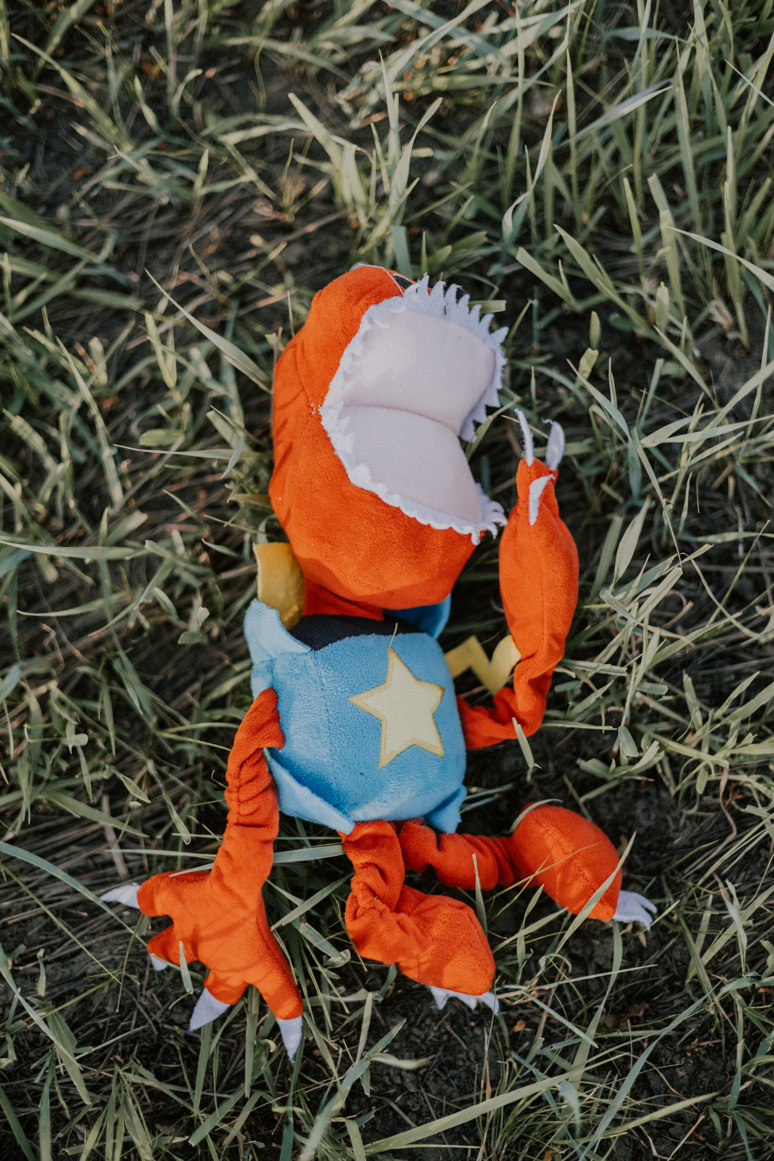 Катя, Саша и Артур. Фотограф Нестратенко Станислав г. Шилка, г. Чита