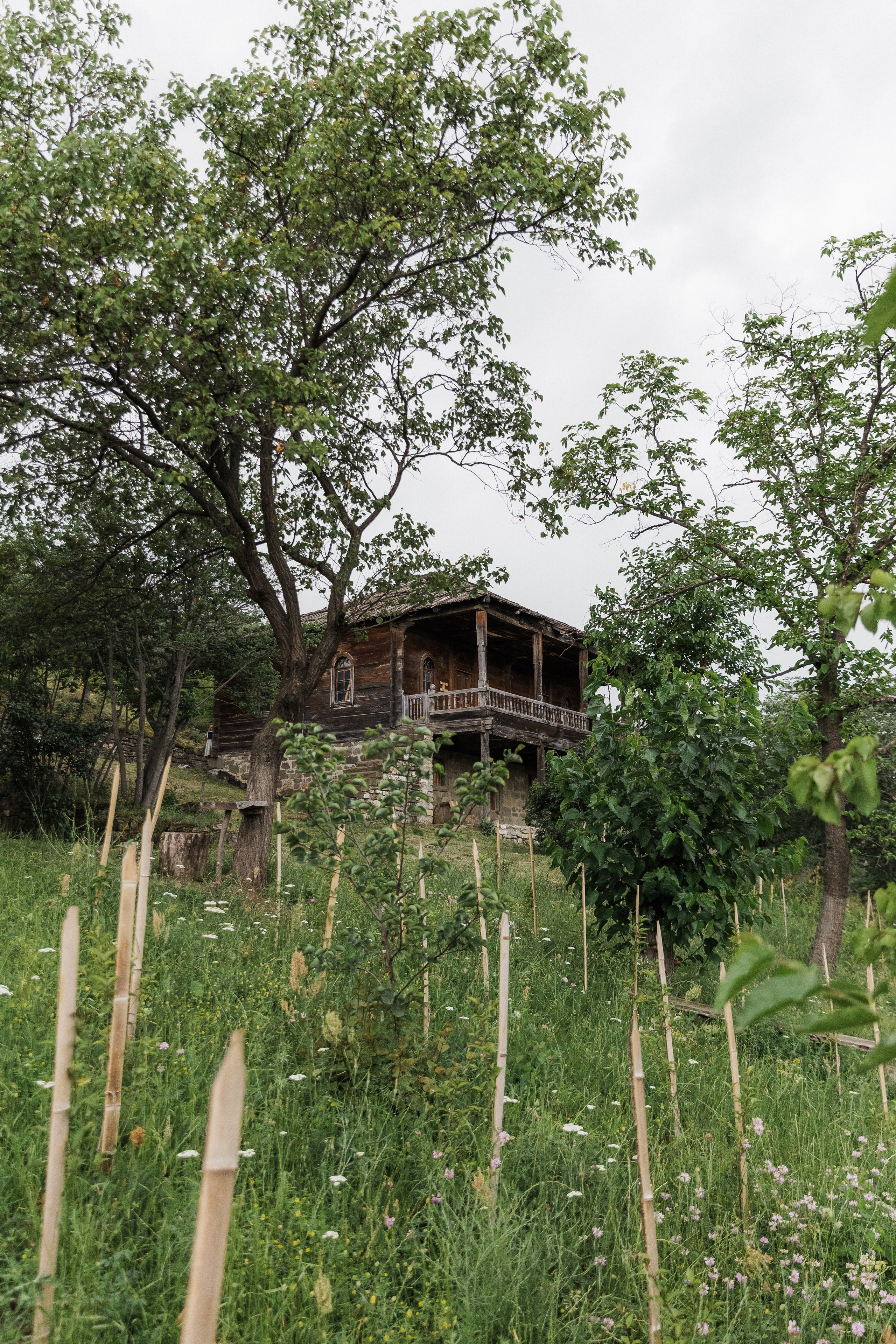 Georgia. Свадебный и семейный фотограф в Краснодаре Роман Моско