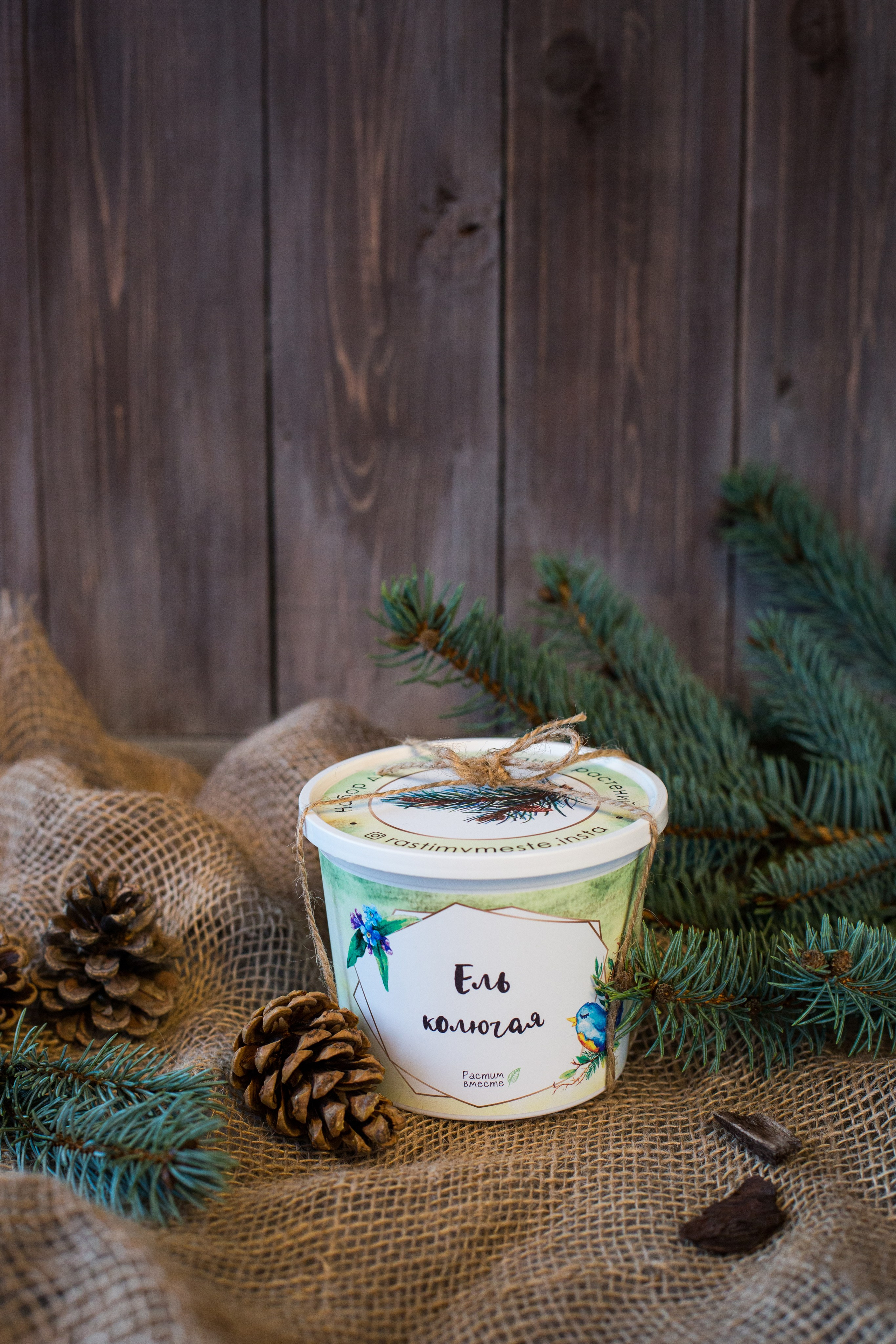 Растим вместе. Главная