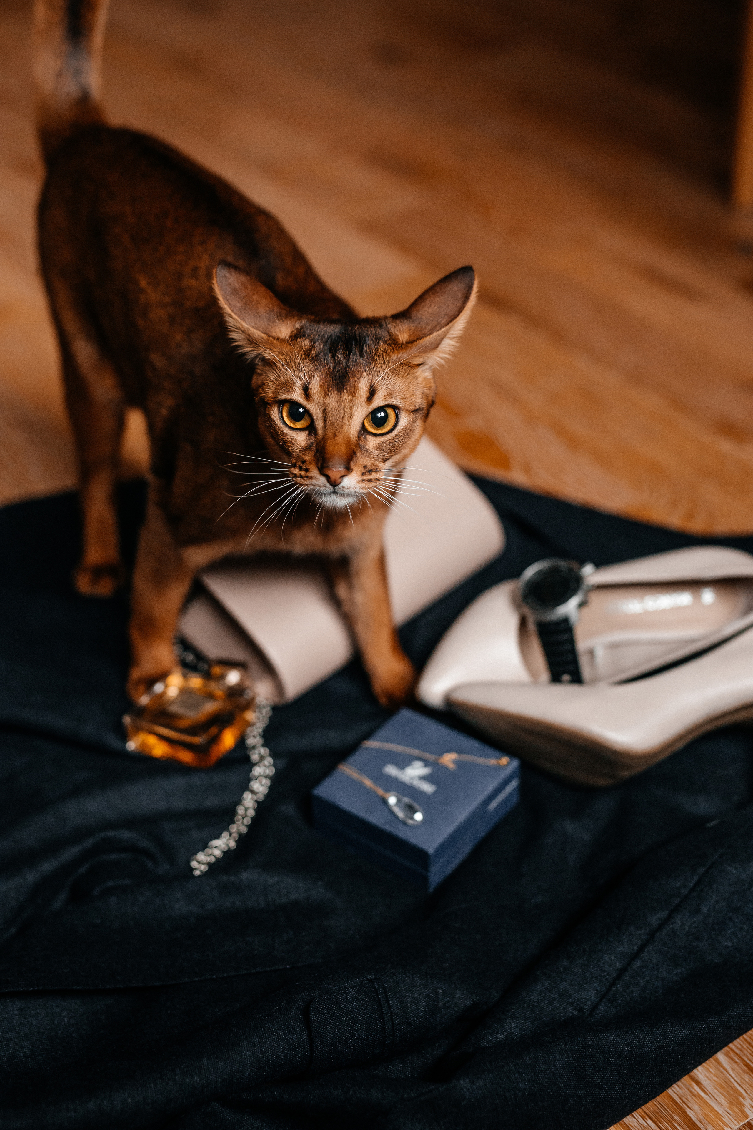 Юля+Андрей. Семейный фотограф в Минске Саша Павлюк