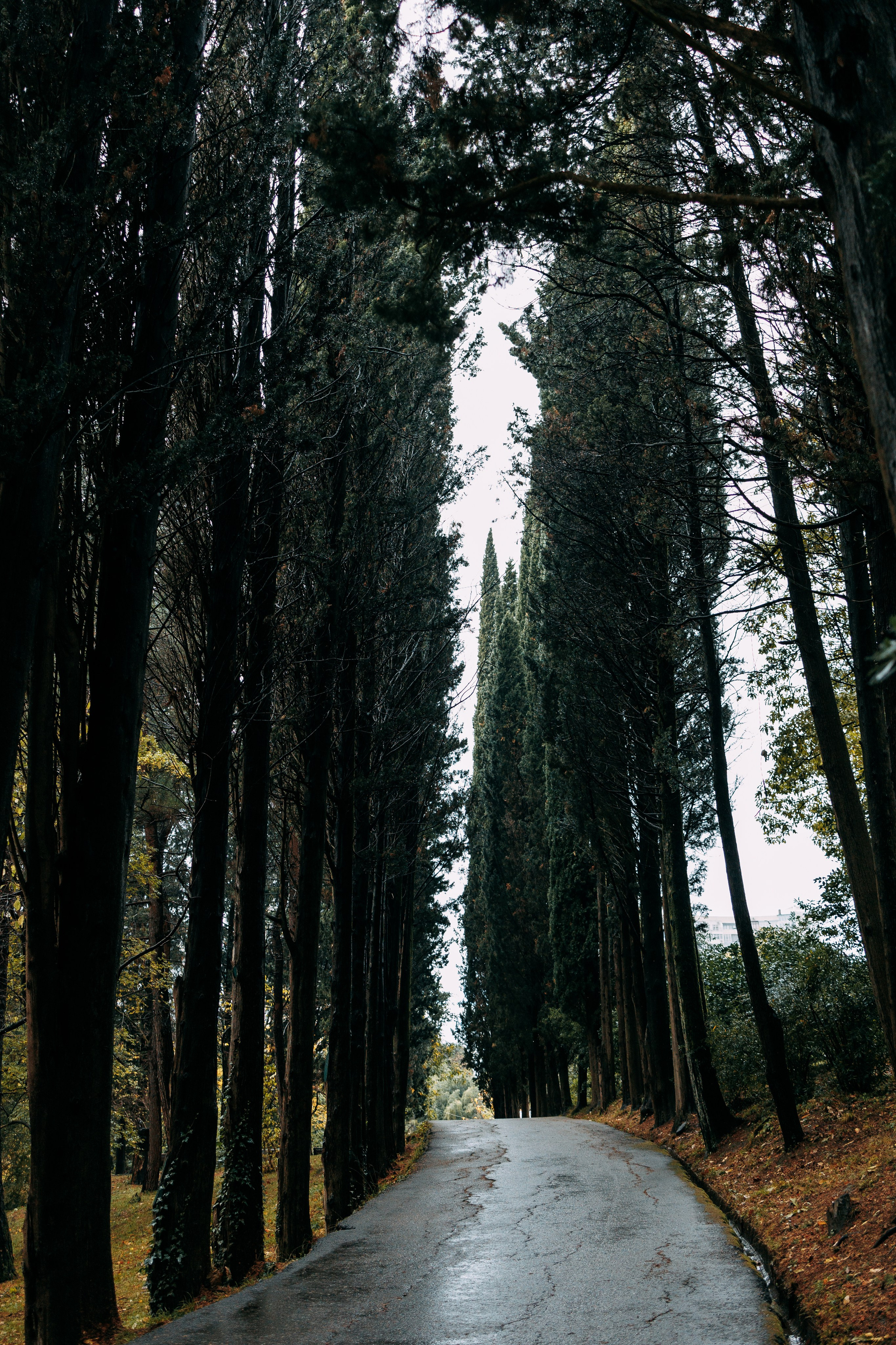 Сочи в декабре. Портретный фотограф в Санкт-Петербурге