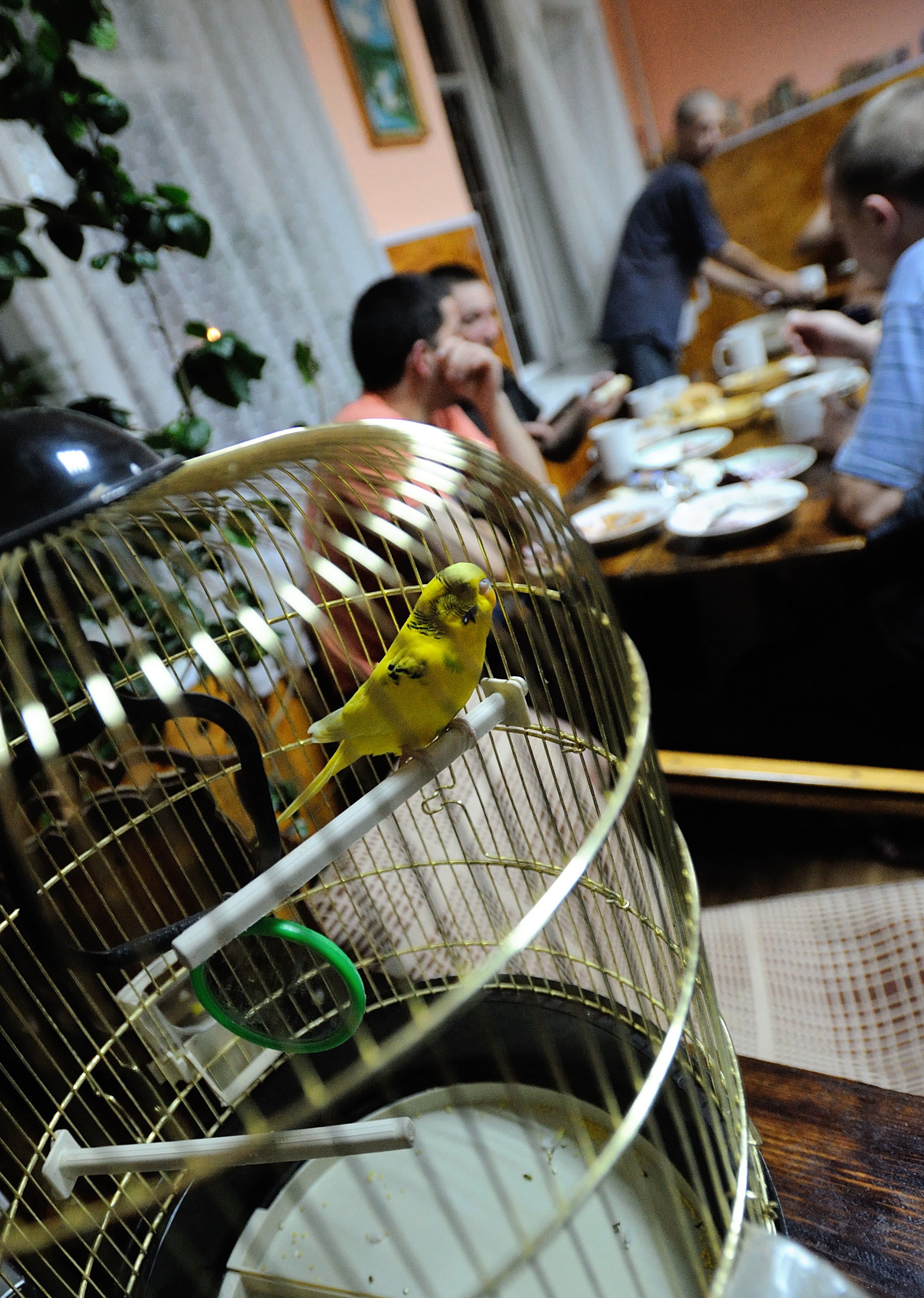 Центр реабилитации наркозависимых. Репортажный фотограф Антон Буценко