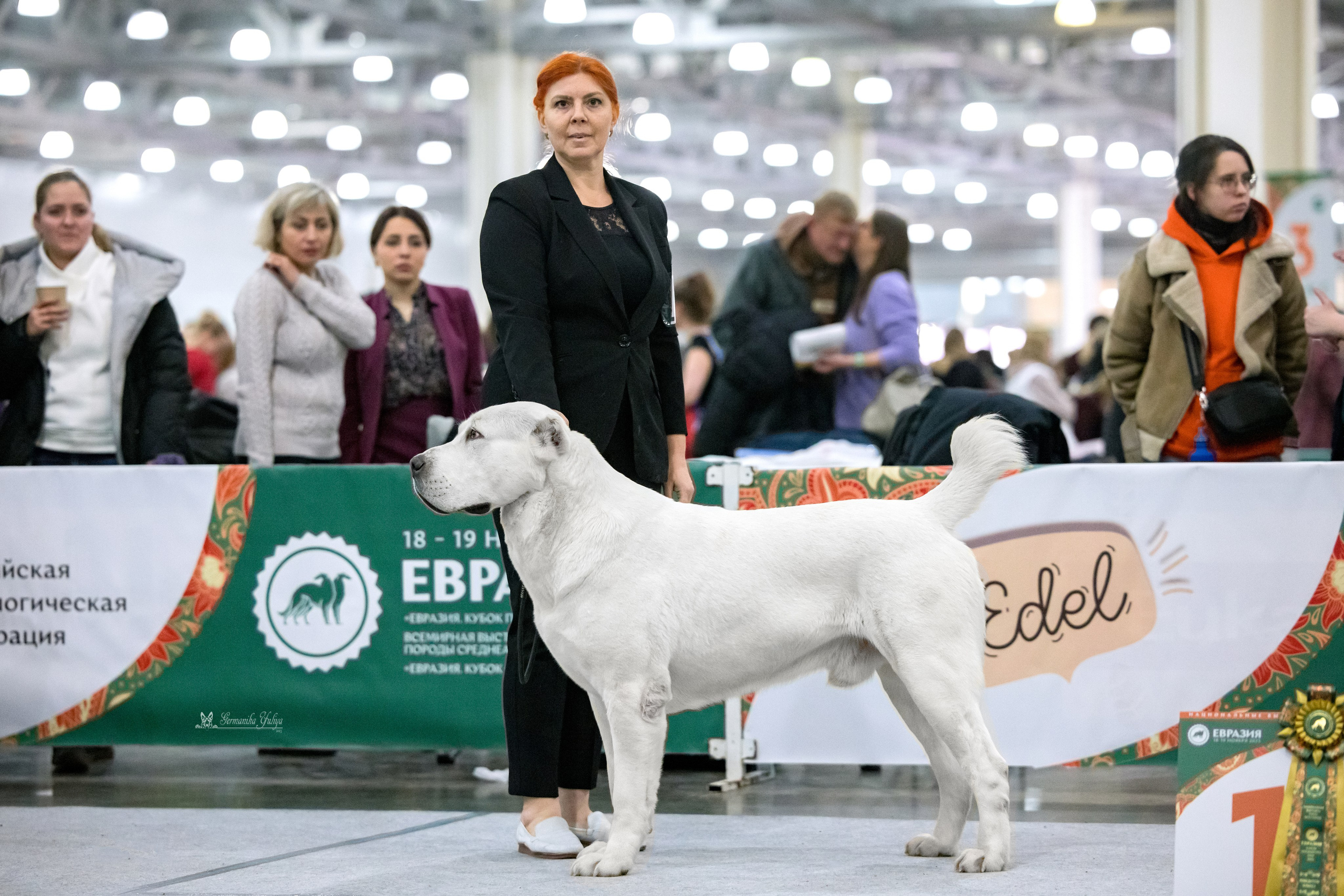 ЕВРАЗИЯ 18-19.11.2023. Фотограф-анималист Юлия Германика