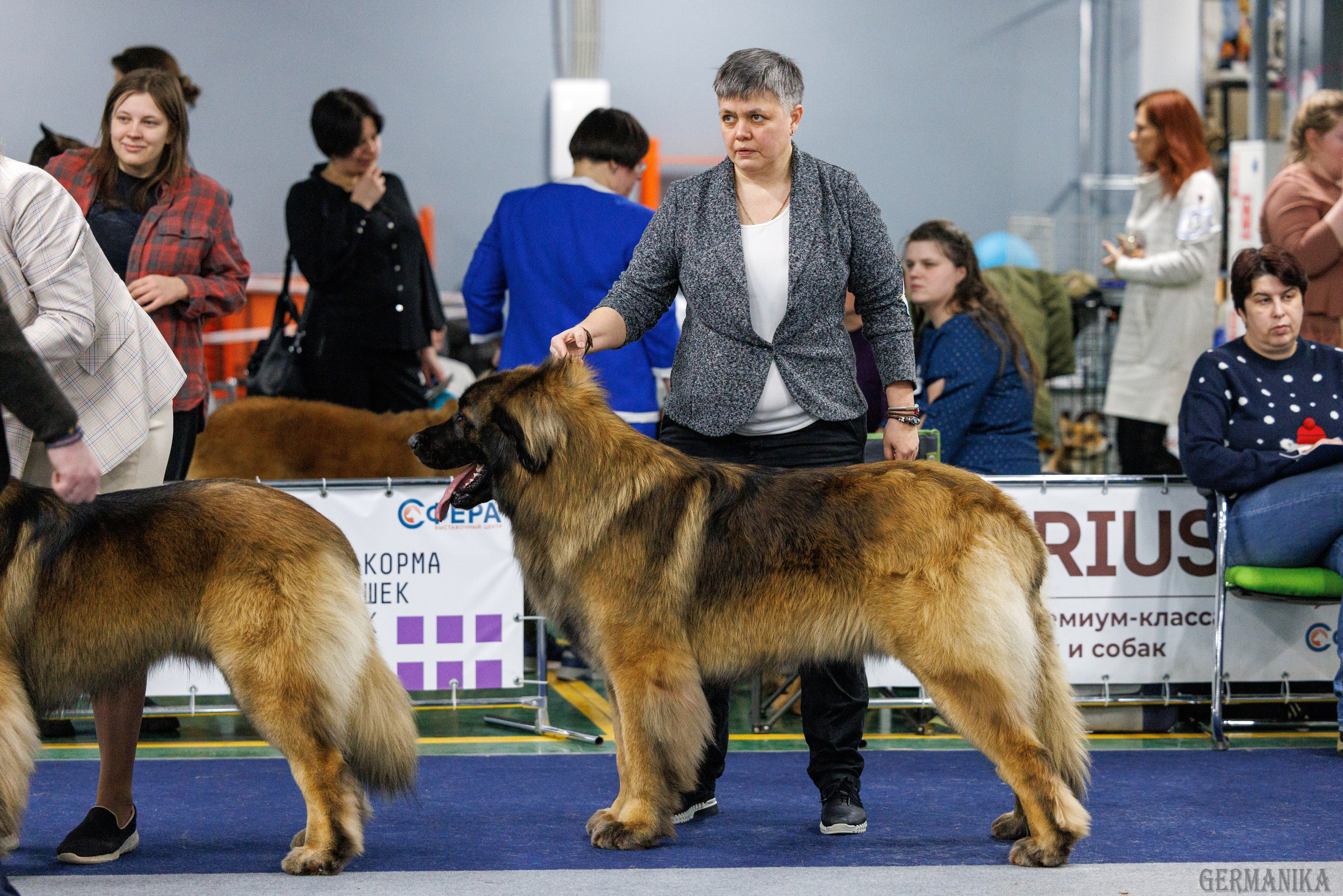 Сфера 28.01. и 4.02.2024. Фотограф-анималист Юлия Германика