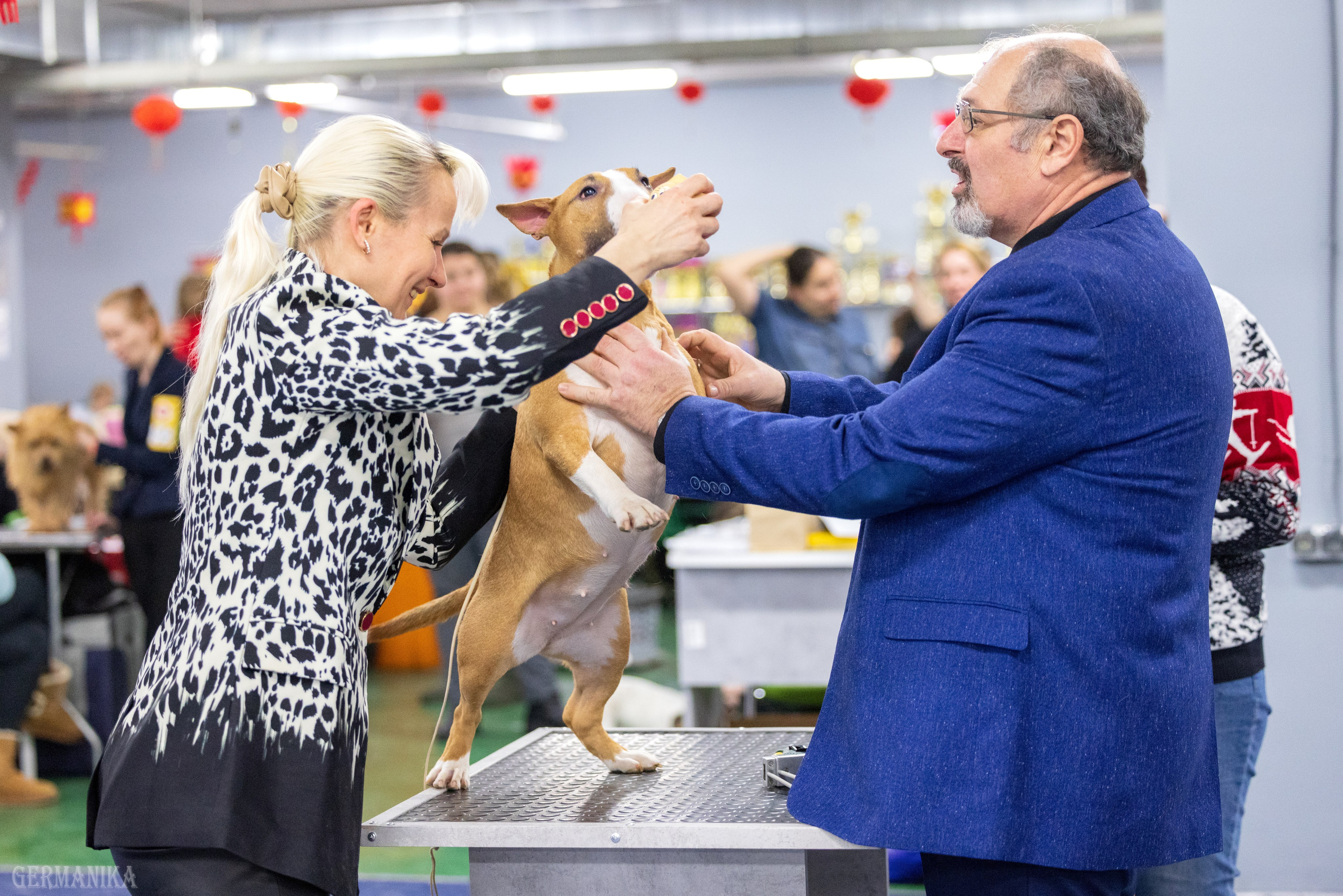 Крокус 10.02,Сфера 11.02.2024. Фотограф-анималист Юлия Германика