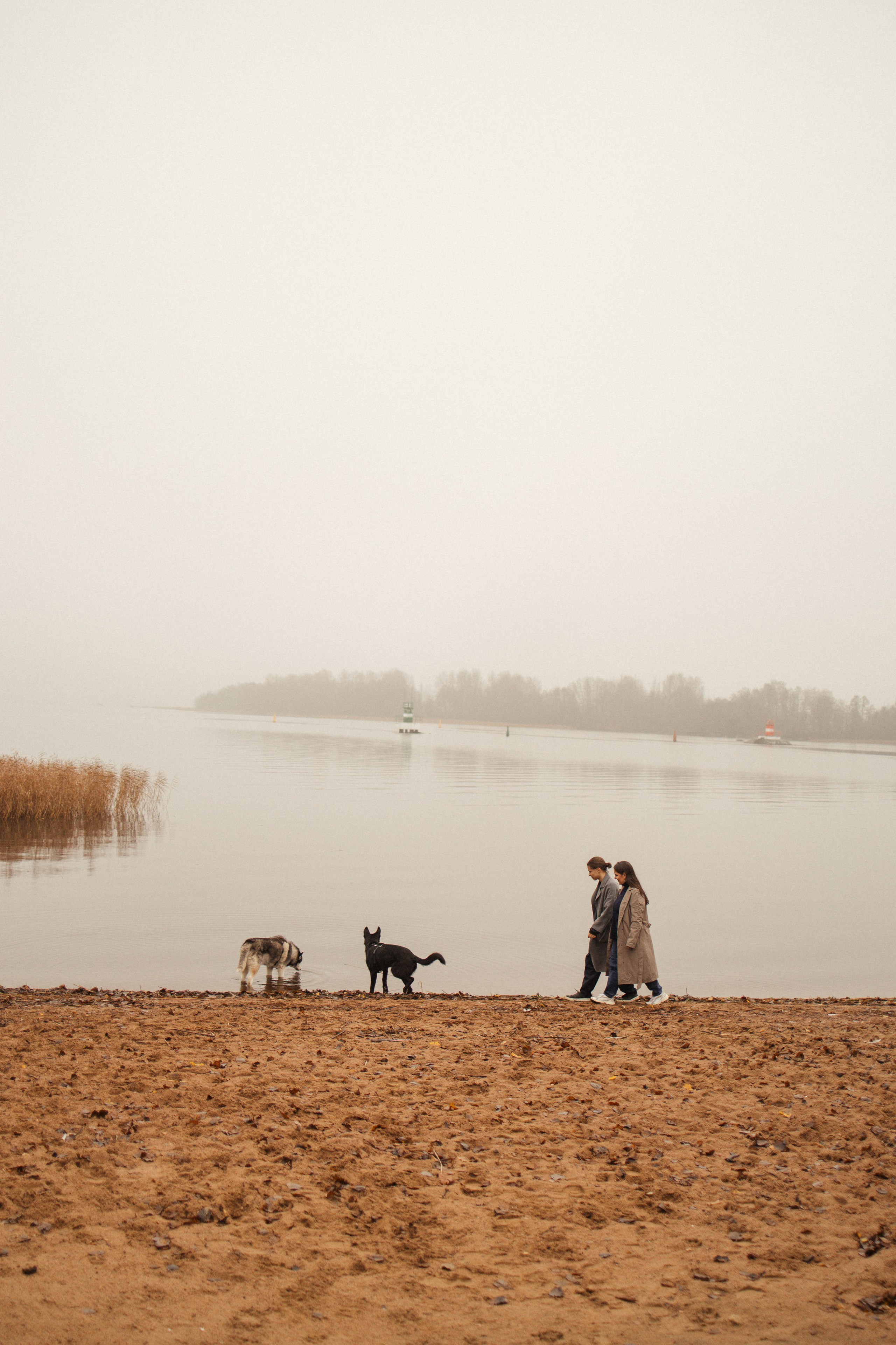 Лена, Глеб, Ральф и Рэй. Фотограф в Выборге и Санкт-Петербурге Маша Гуляева