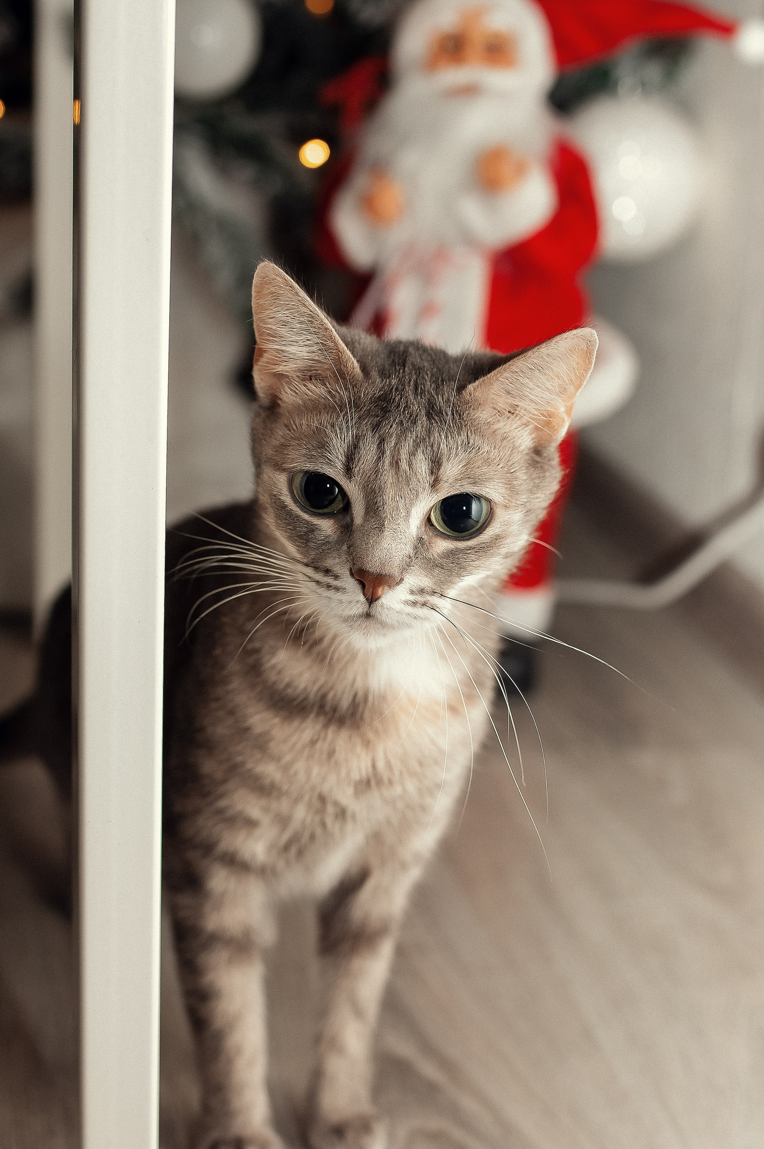 Таня и Ариша. Имбирные печеньки. Профессиональный фотограф, Москва |Видное Елена Елизарова