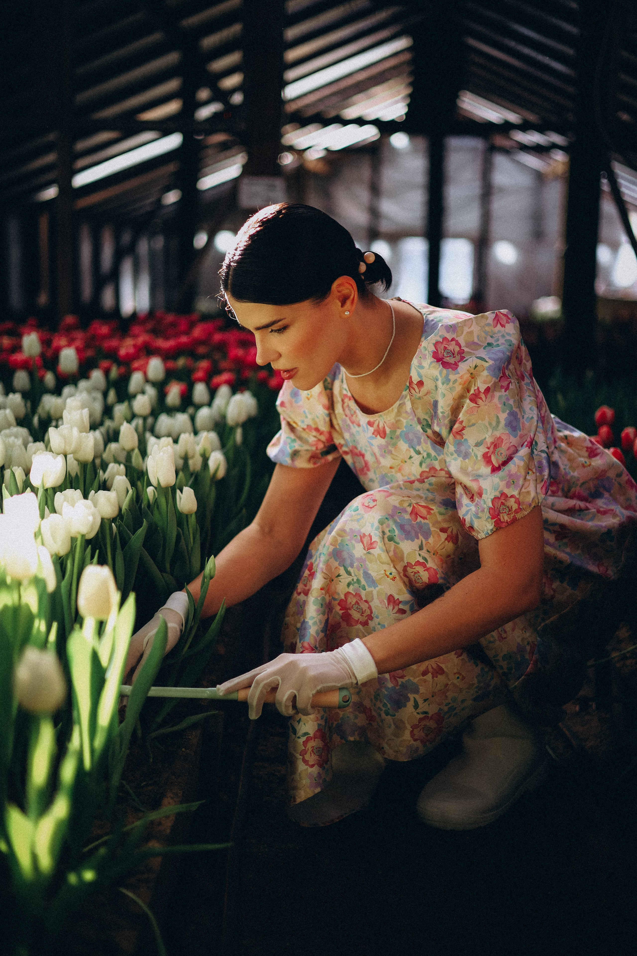 Индивидуальная. Photographer Oseiko Nadezhda