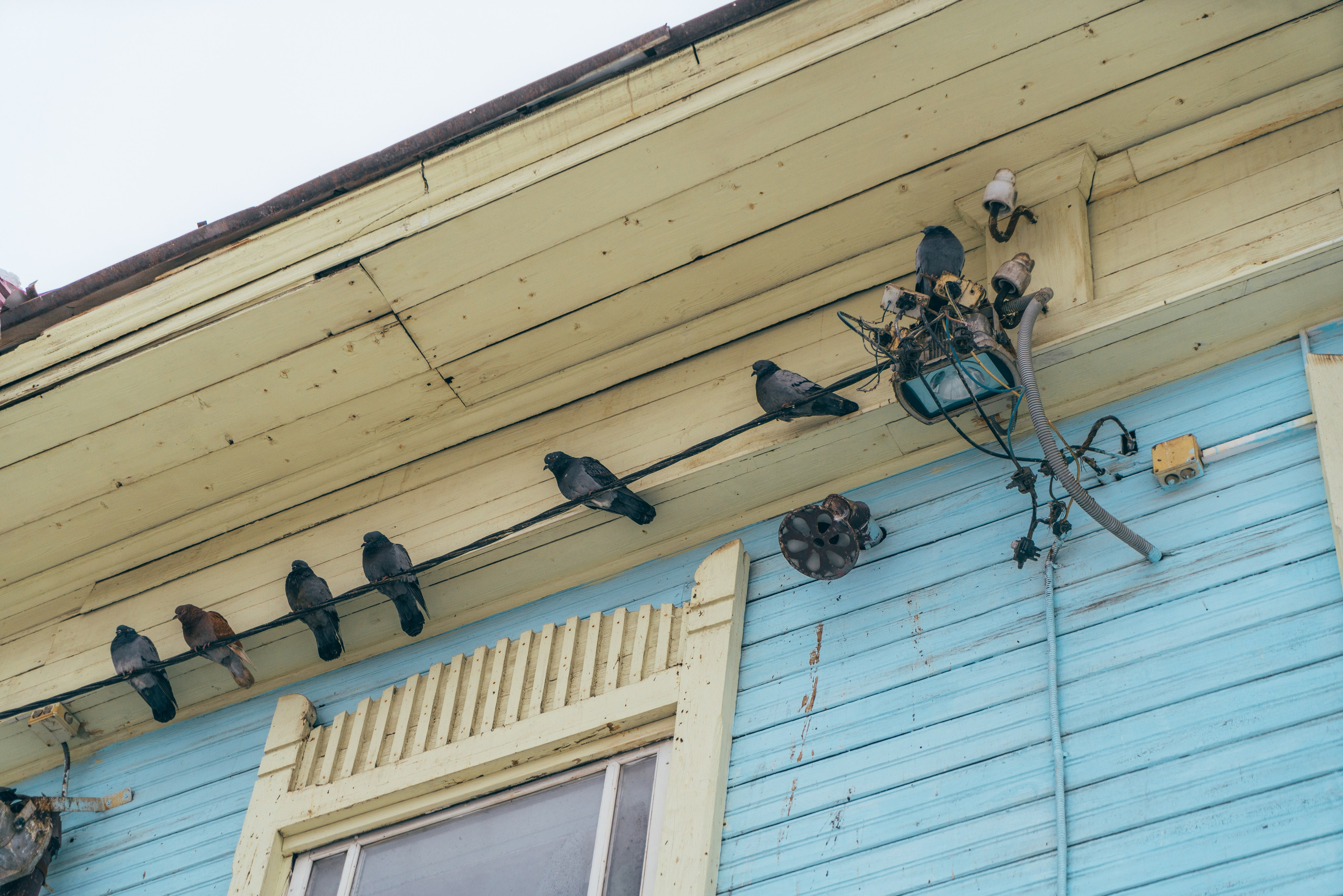 Томск, Февраль 2024