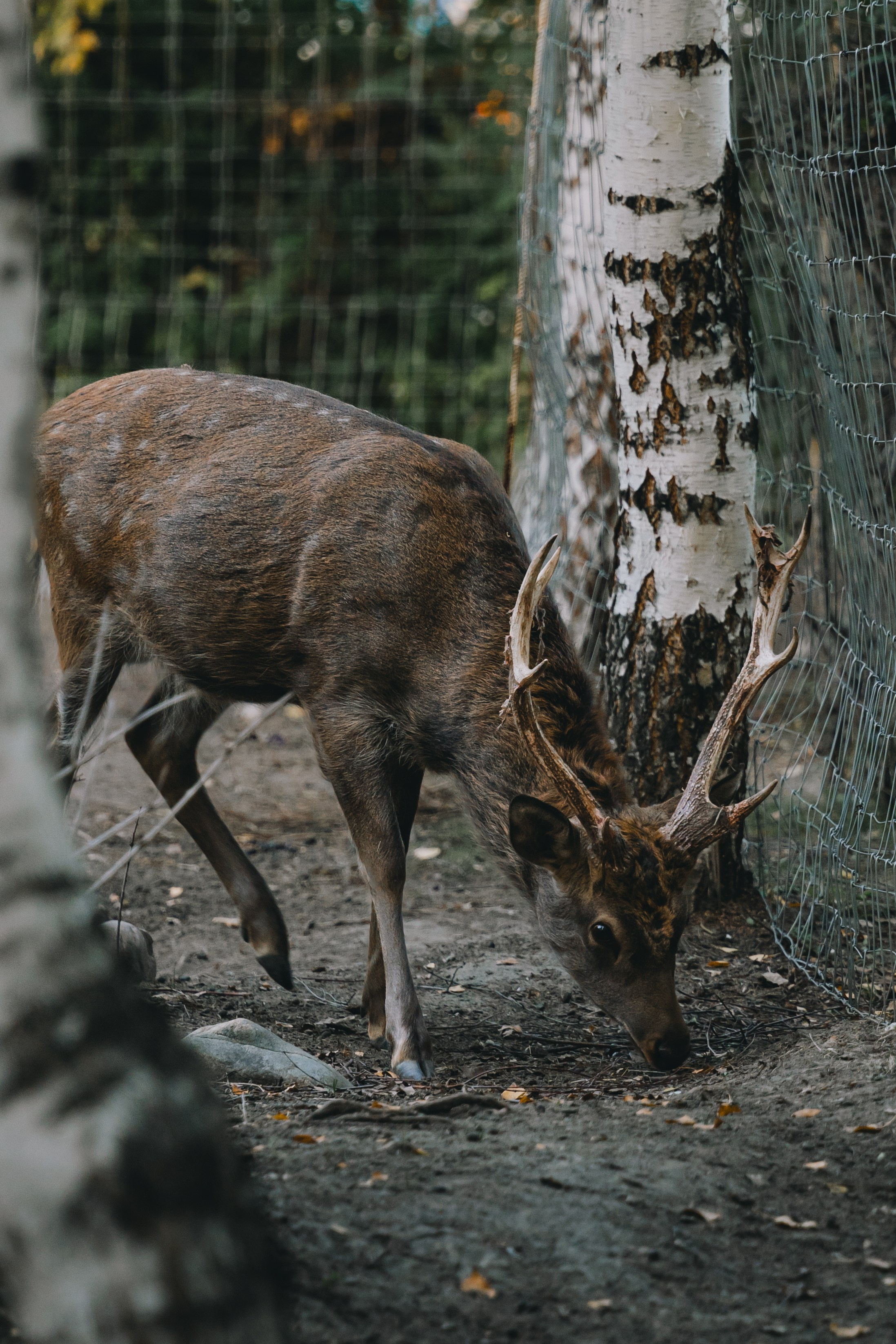 Усть-Каменогорск, Сентябрь 2024