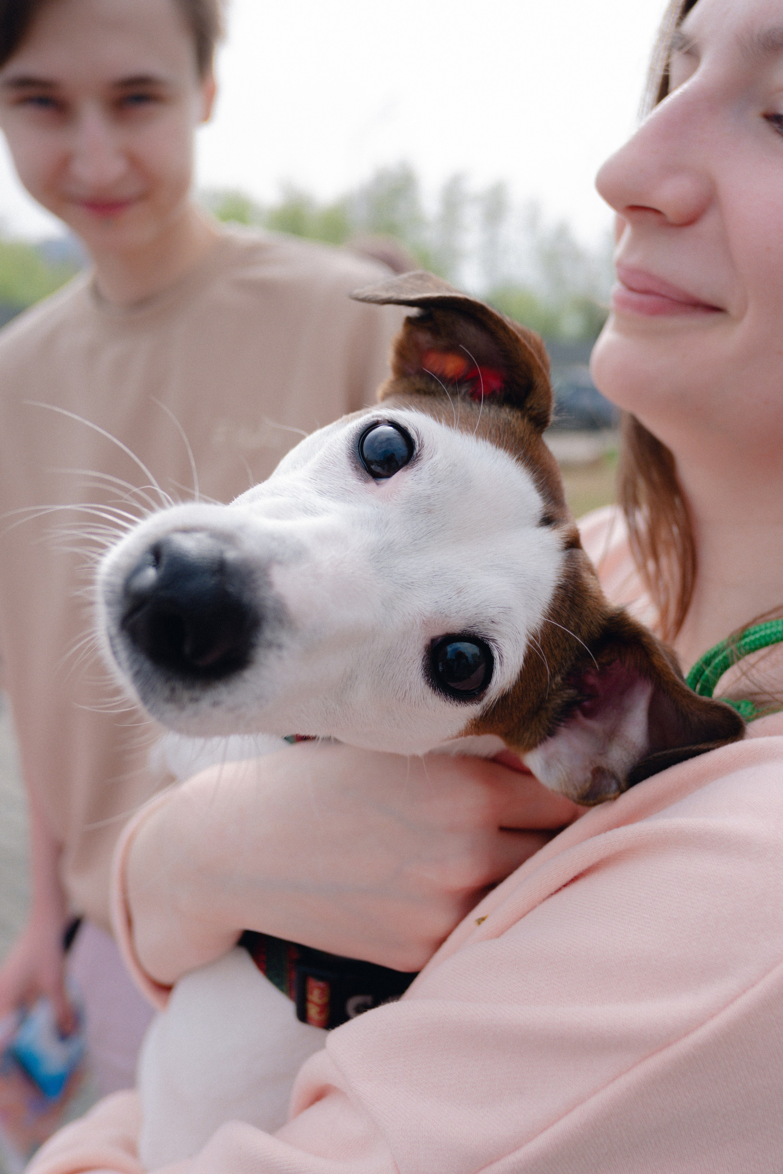 Pets. Фотограф в Москве Daria Lens