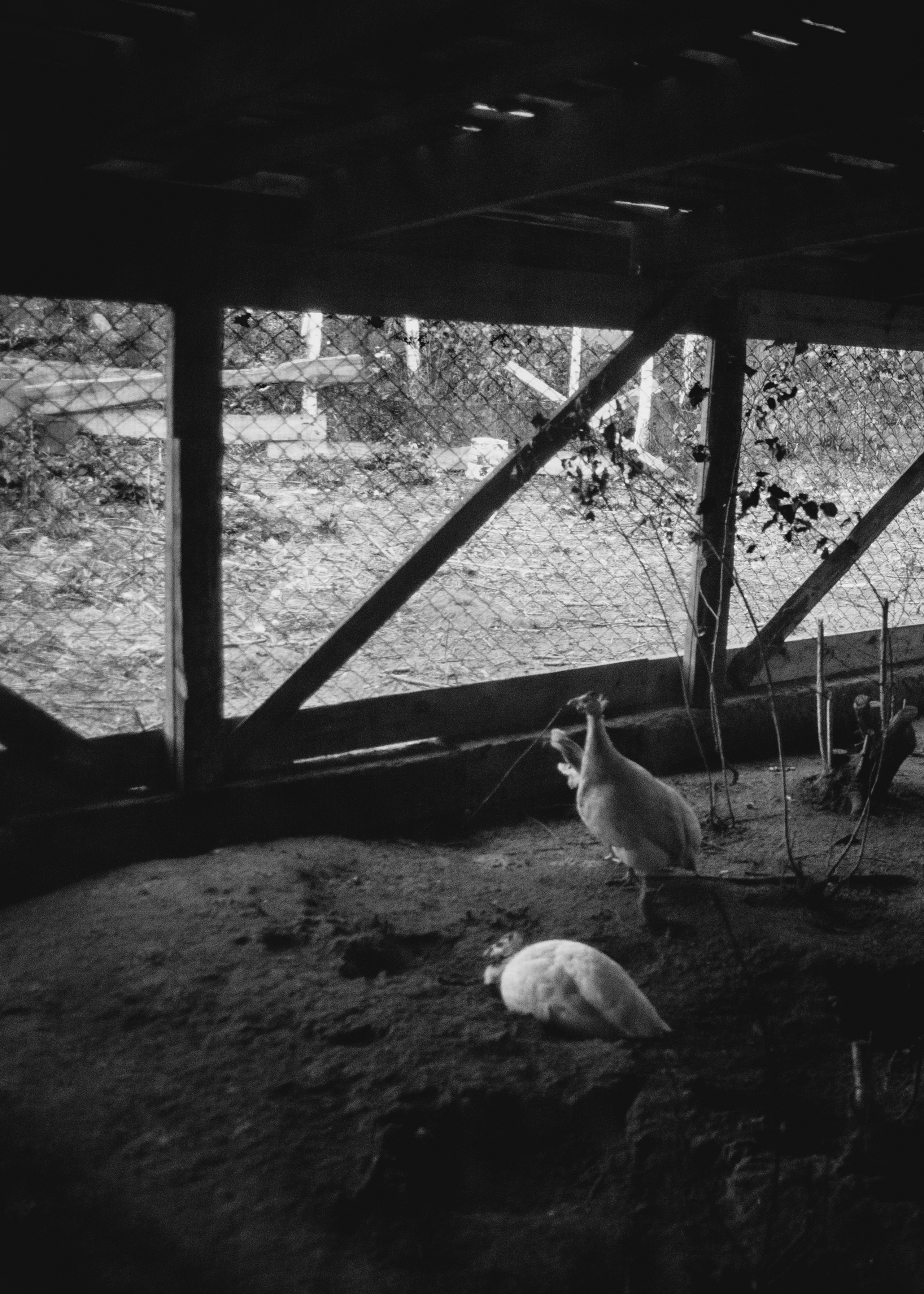 Backstage со съёмок фильма «Reverenсе». Портретный фотограф в Москве Дарья Цезария