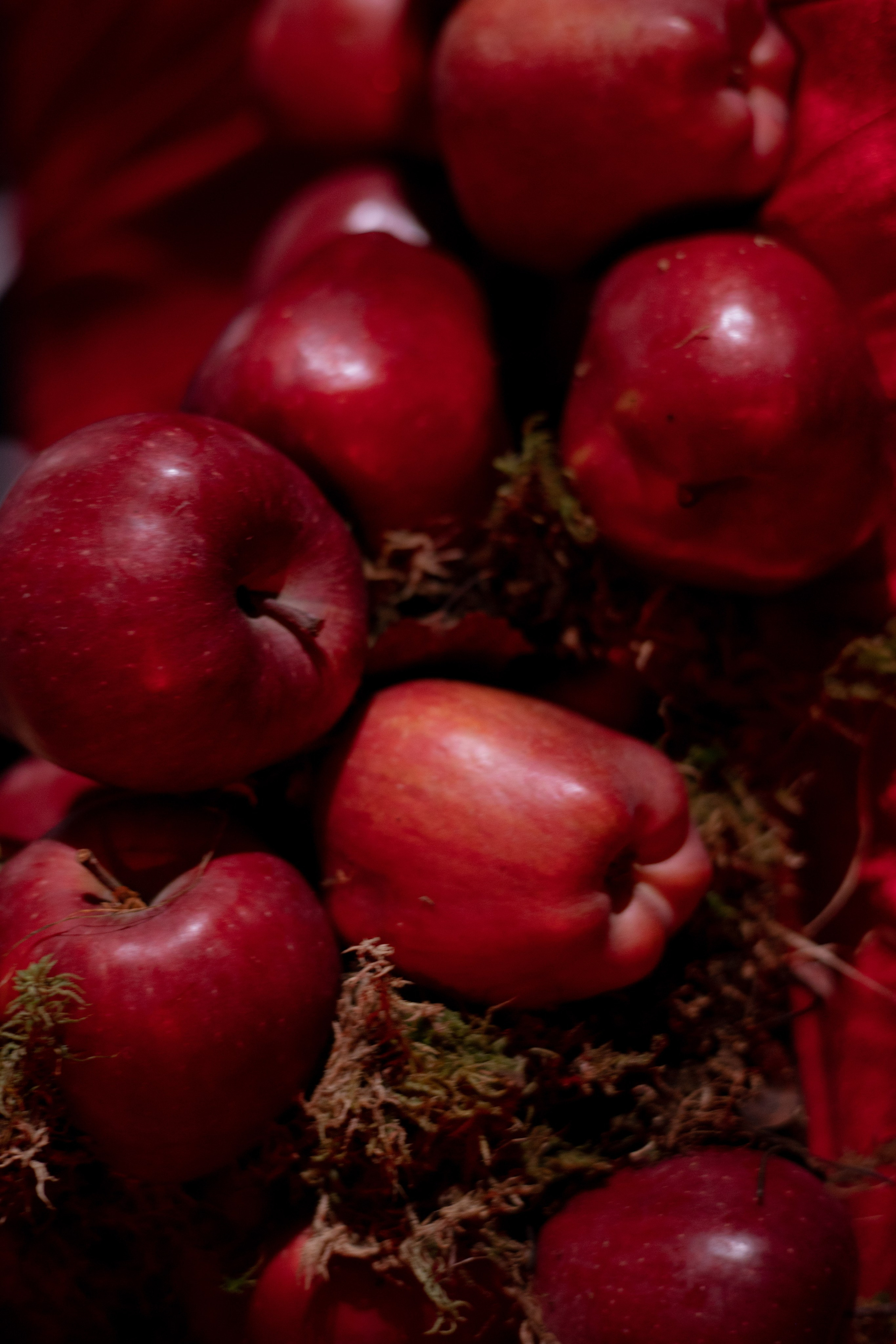 Новогодний корпоратив в фольклорном стиле. Особняк Лемана. Оформление свадеб, декор свадеб Вера Маркова, Москва