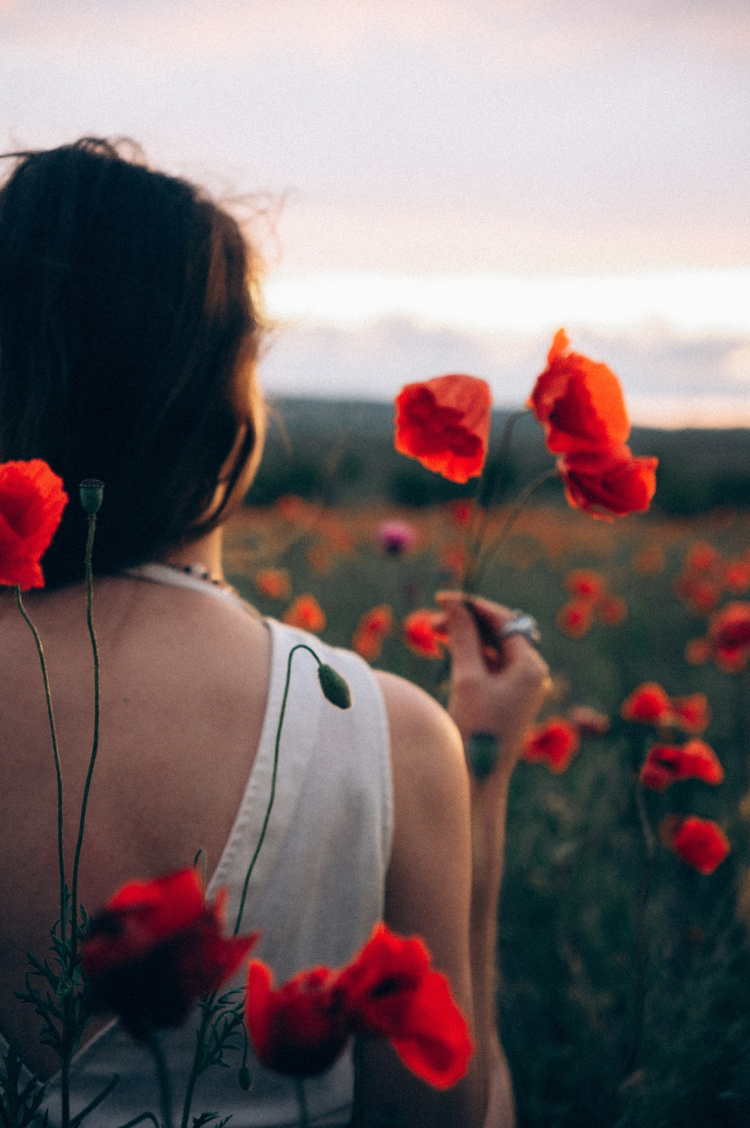 Тур за травами | маки. Обо мне