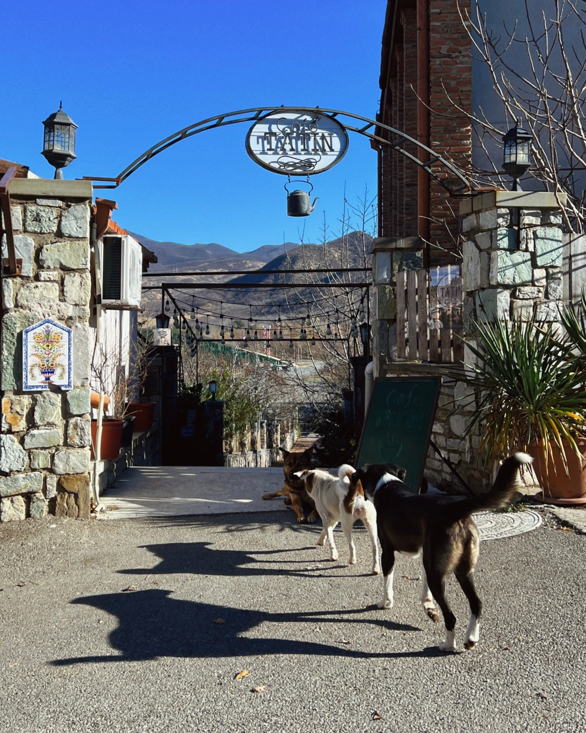 Мой мир. LAMOURCEVA | fashion photographer