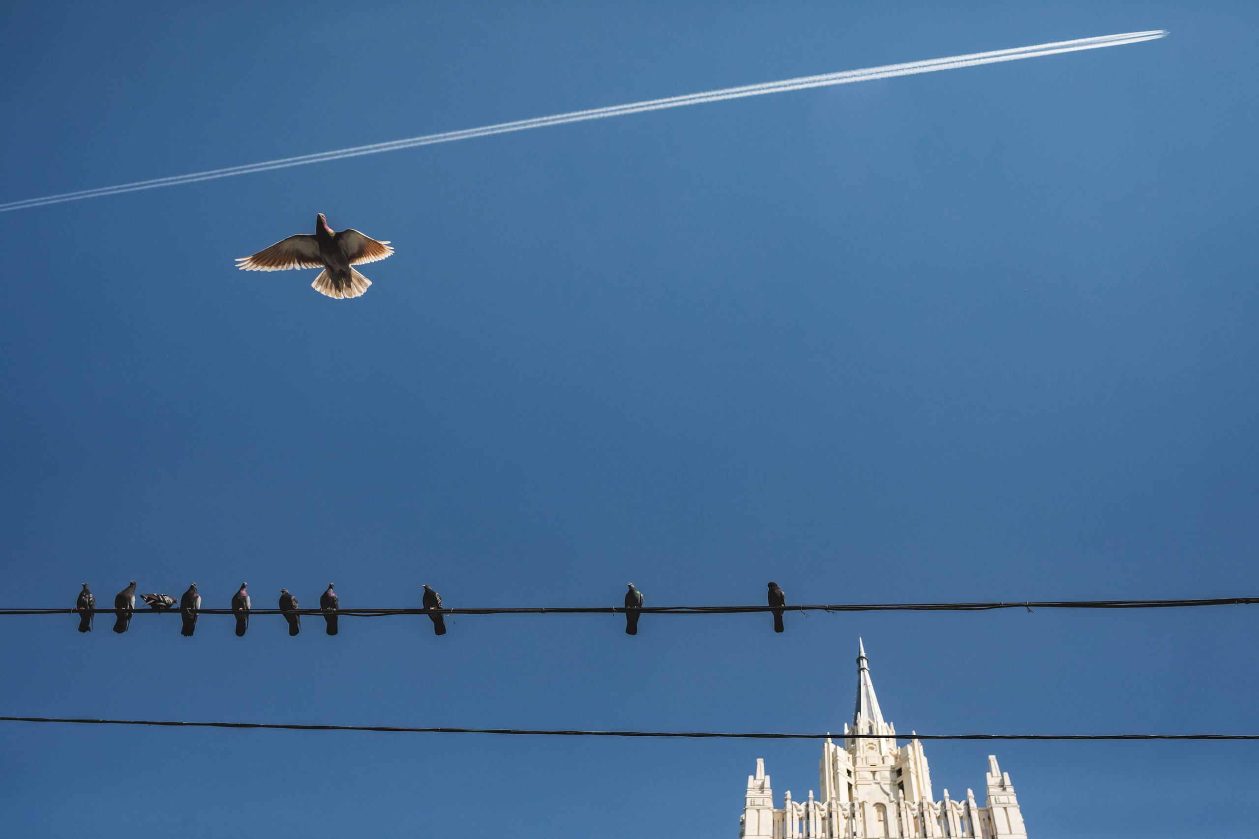 Обо мне. Репортажный фотограф. Из России с любовью