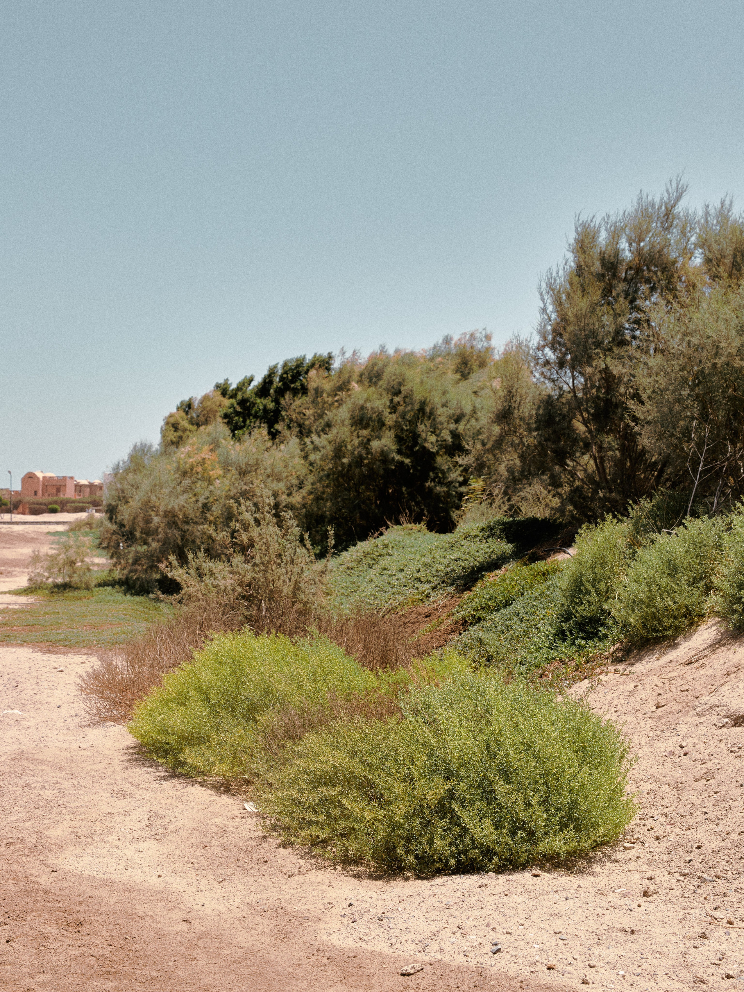 Улицы. Jorgis Talè — photographer, kind person, teacher of arts and other mag