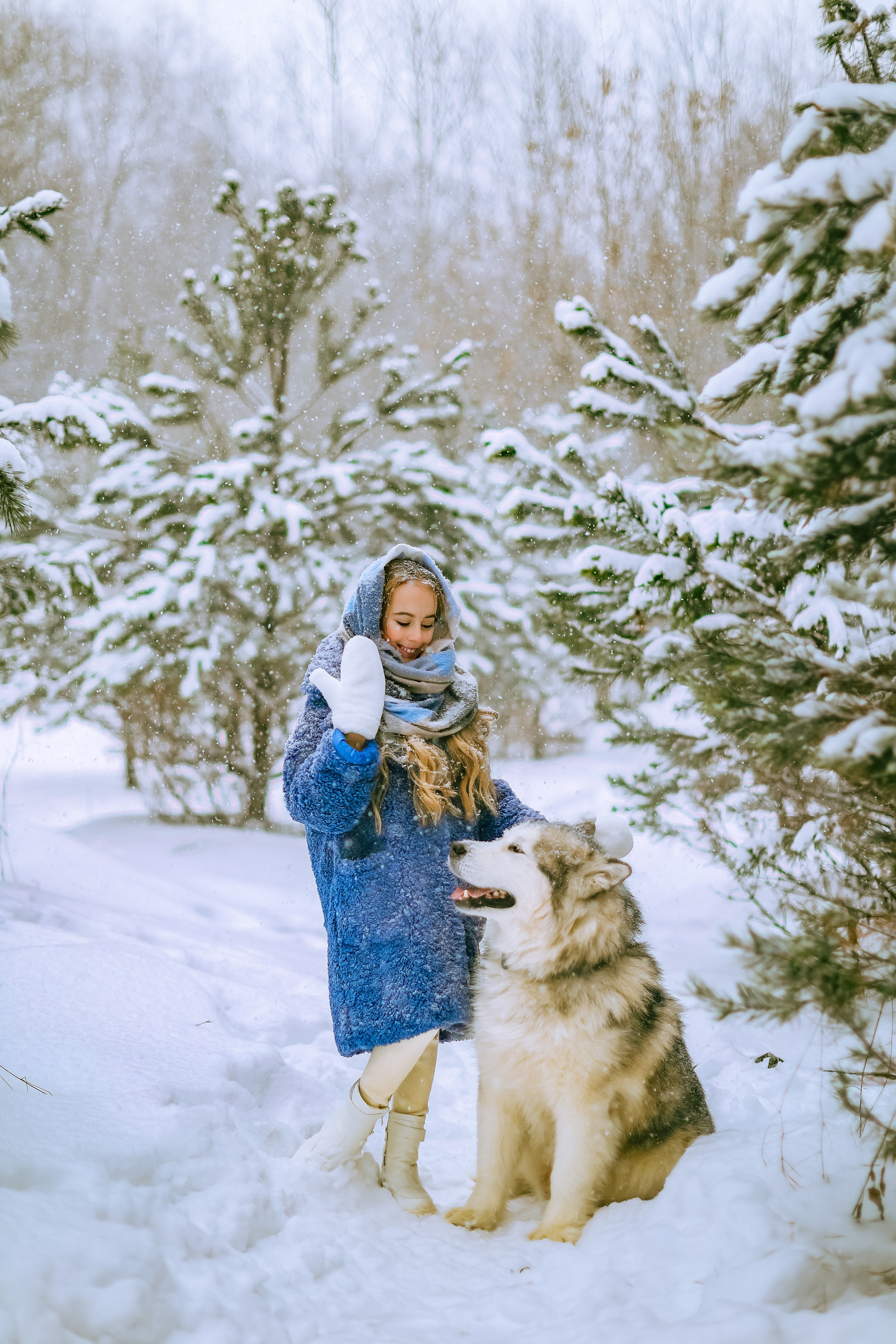 София и аляскинский маламут. Фото и видео Москва, Московский. Свадебный фотограф, видеограф, фотосессии, видеосъемка