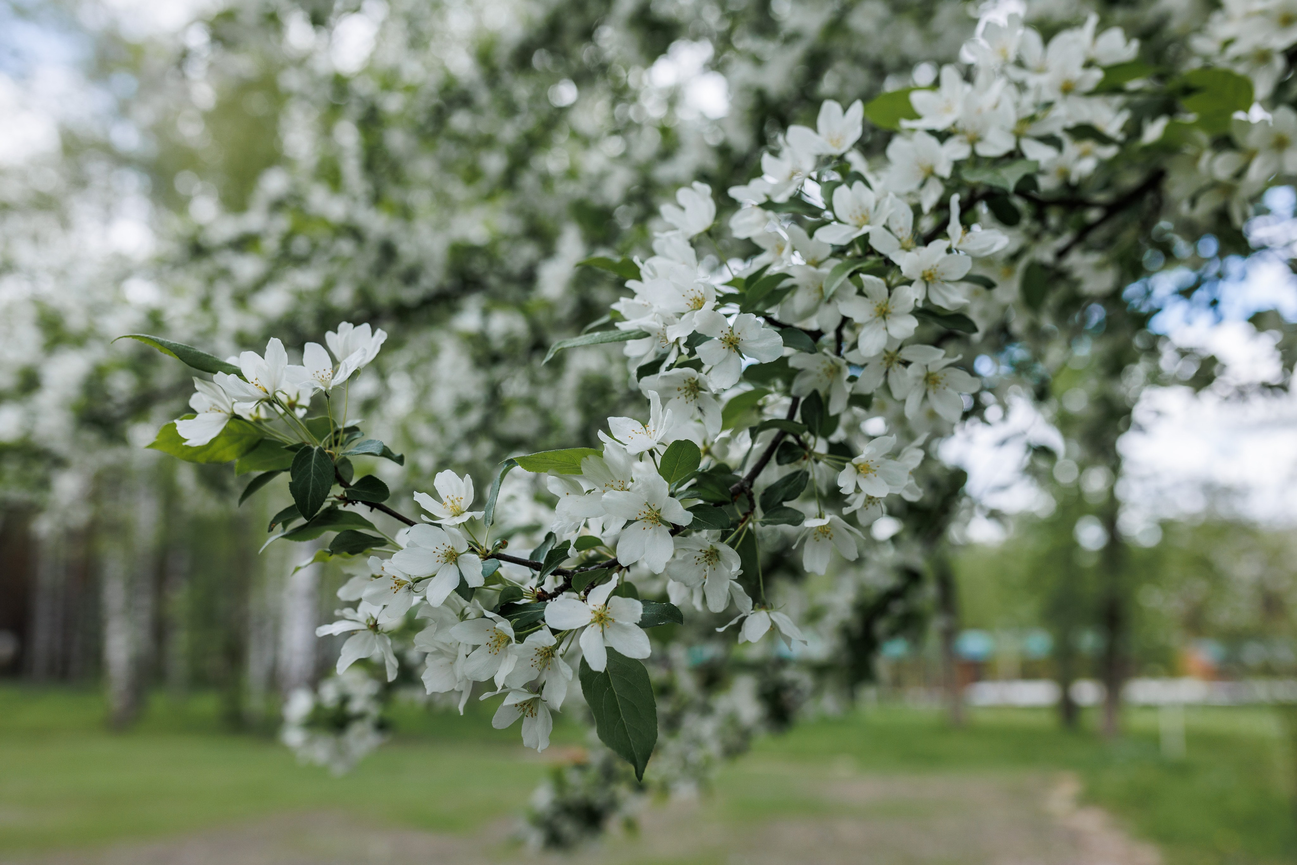 База отдыха «Металлург». Фотограф городских и семейных событий в Нижнем Новгороде Артем Карпухин