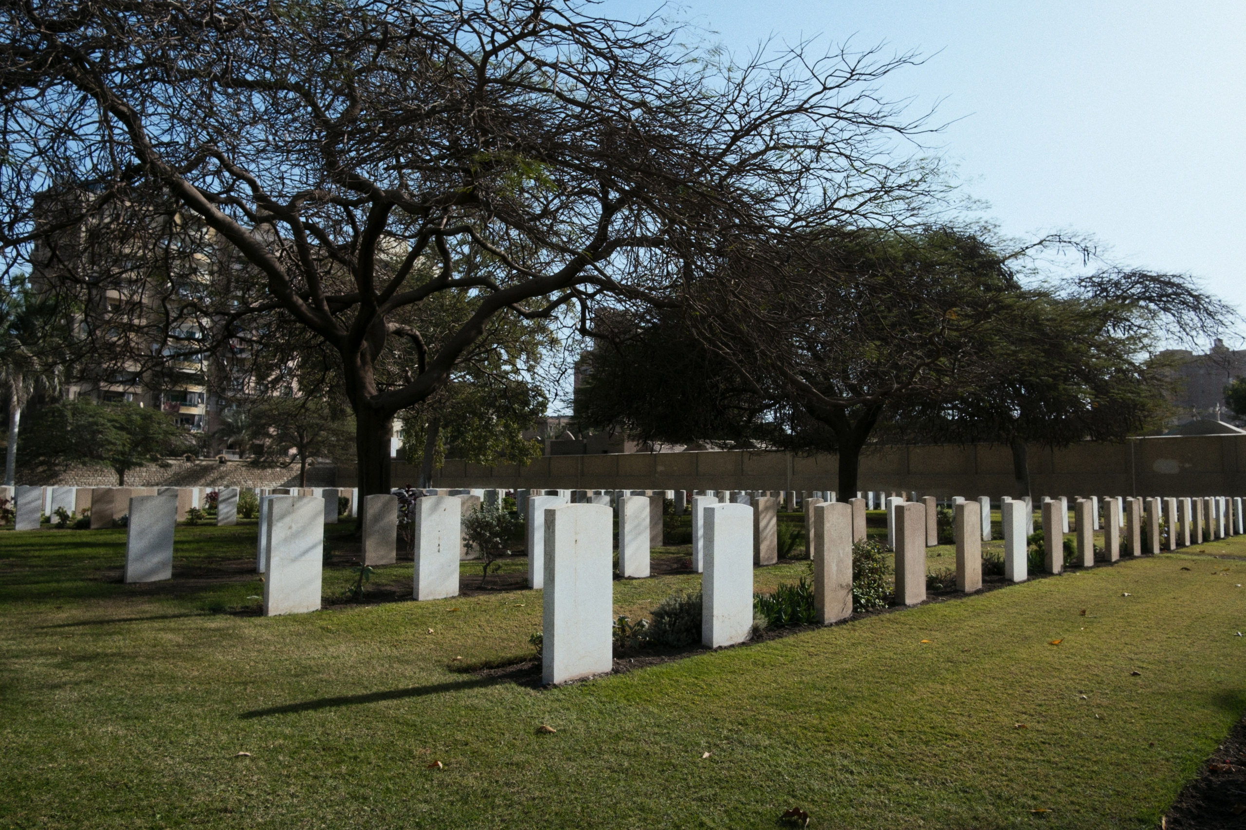 War Memorial Cemetery / Cairo, Egypt AW25. Фотограф Юрин Евгений