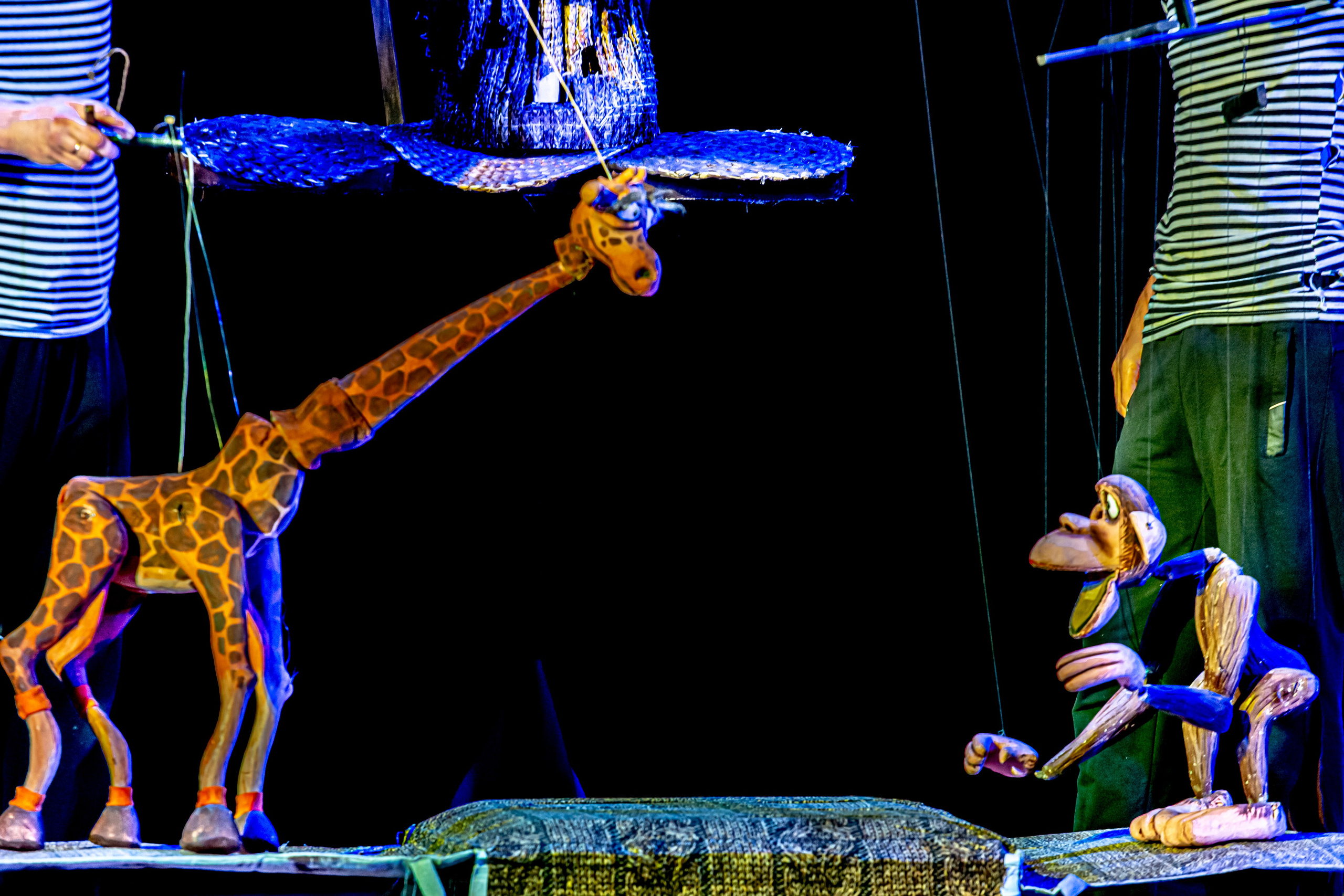 Жирафа и носорог спектакль театра Саквояж. Фотограф в Сочи Юрий Шептаев