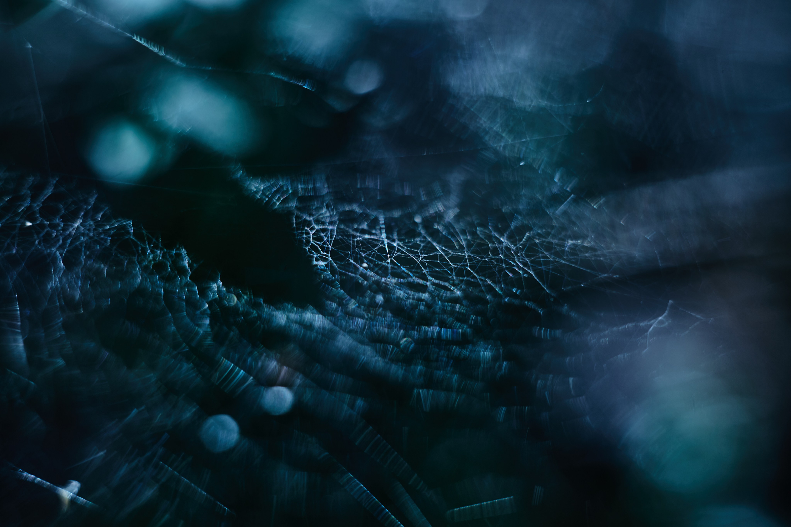 Art пейзаж. Фотограф Анастасия Федорова  Санкт-Петербург