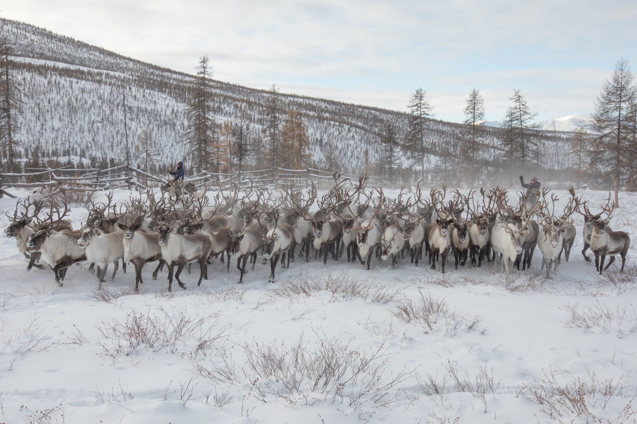 Не забудь накормить озеро. Natalya Madilyan