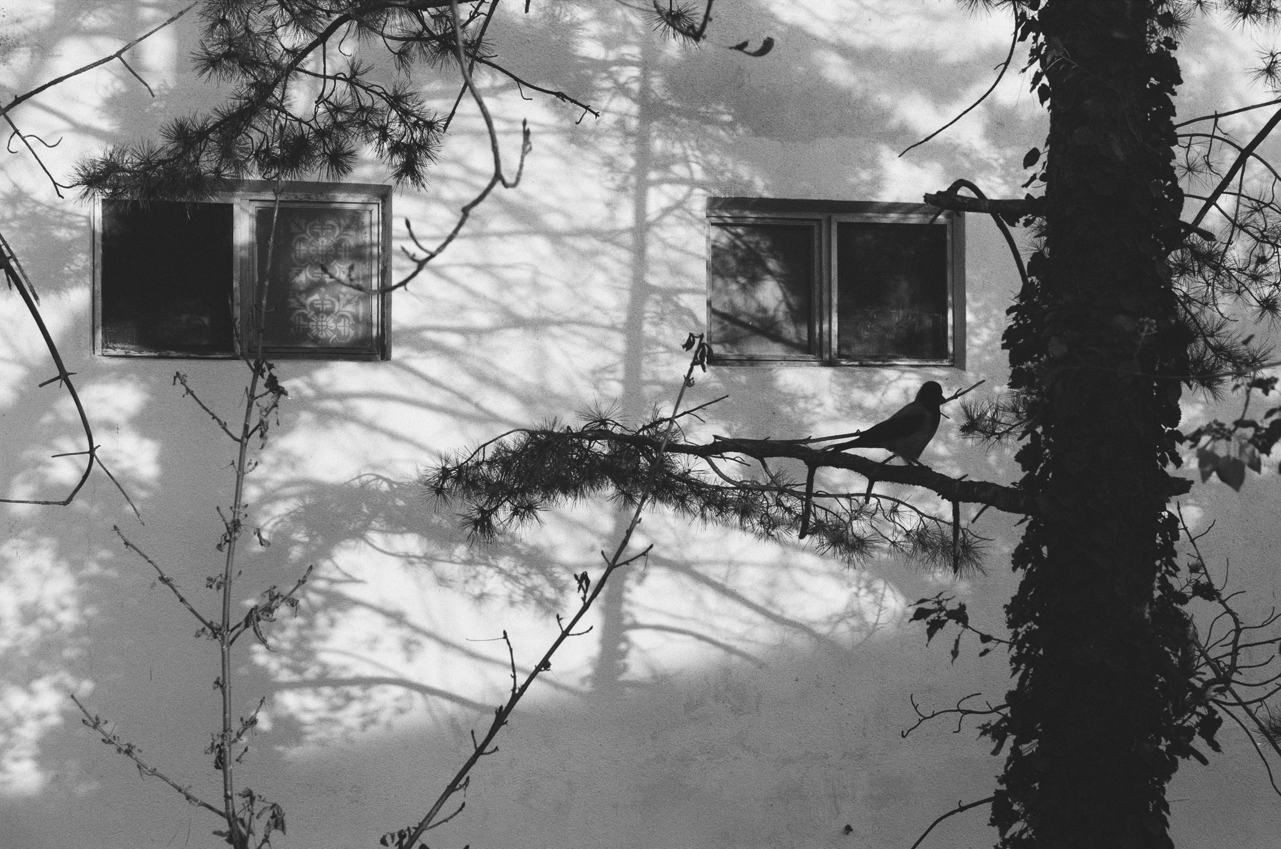 I o u // ukraine, crimea II. EVER EXPOSED