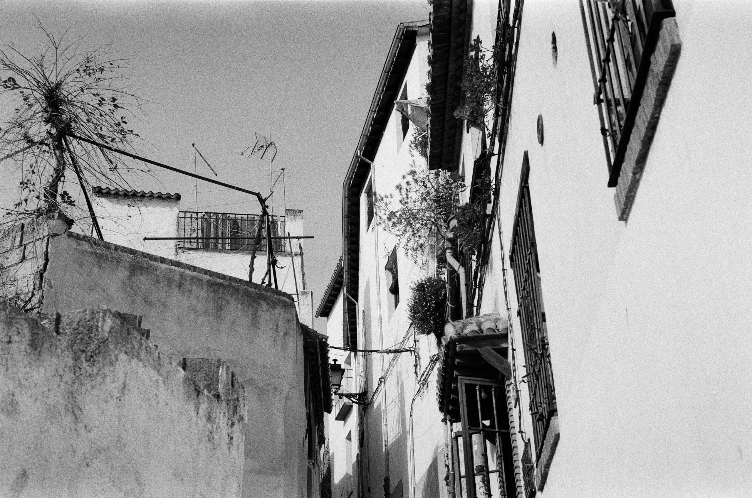 Spanish sahara // spain, granada II. EVER EXPOSED