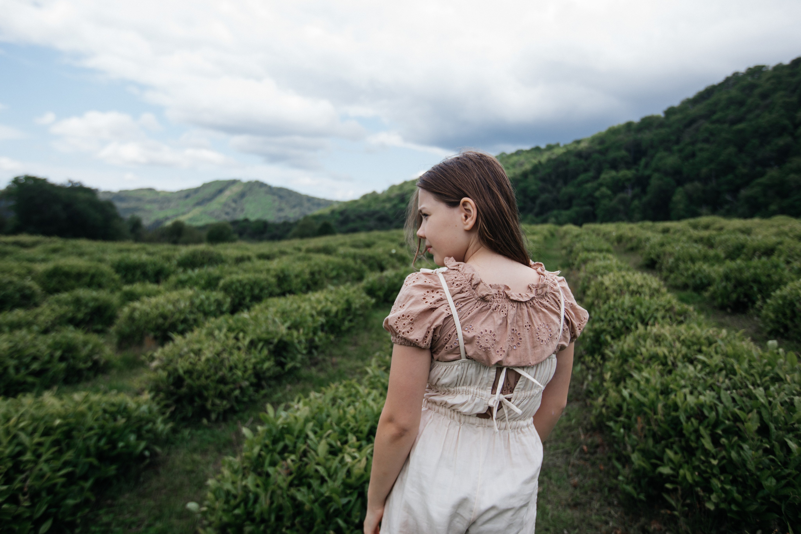 Tea plantation. Efimova Model Agency