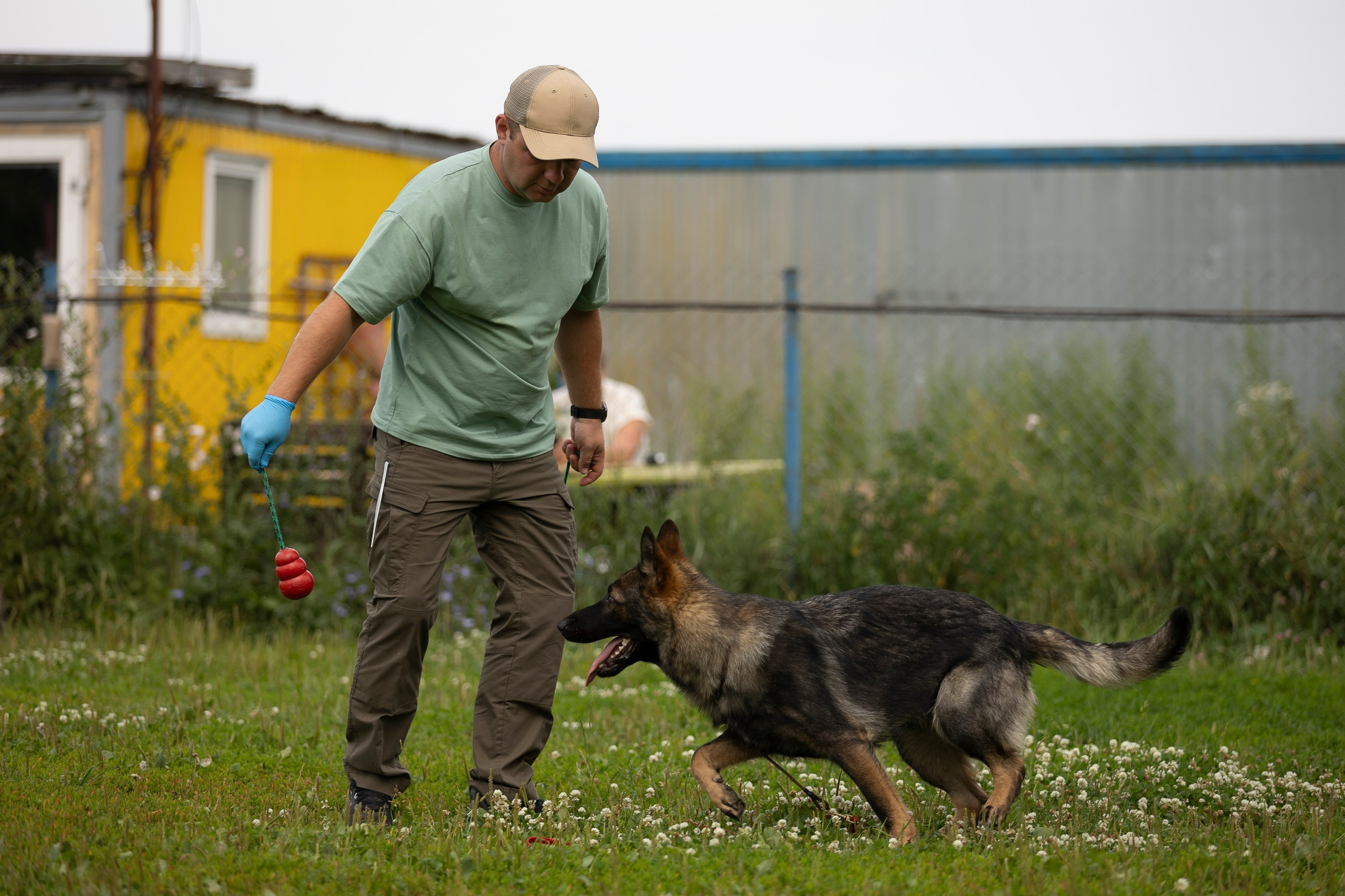 Семинар по поиску ВВ. Фотограф анималист, семейный фотограф, фотограф собак Комратова Мария. г. Москва