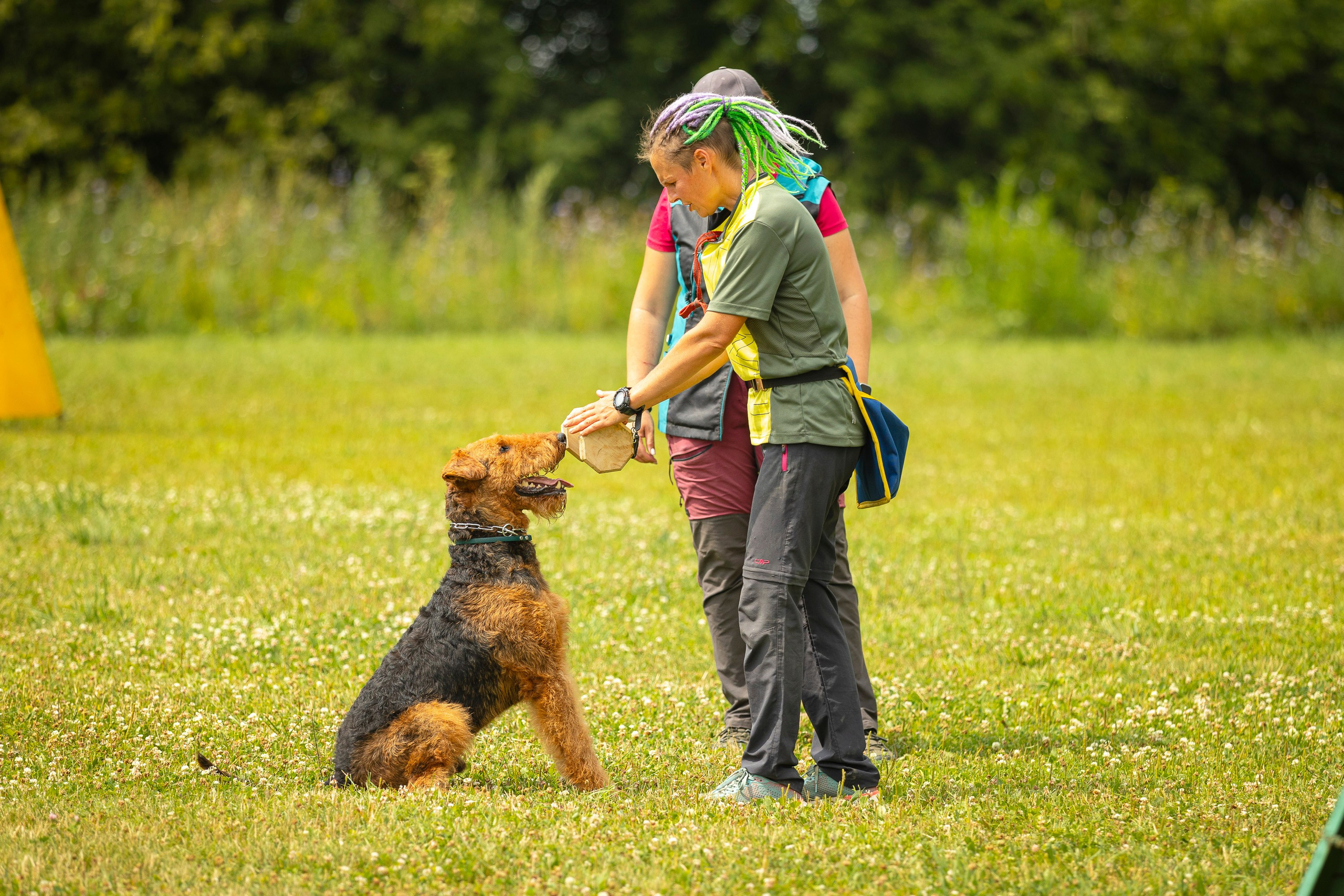ЗКС. Фотограф анималист, семейный фотограф, фотограф собак Комратова Мария. г. Москва