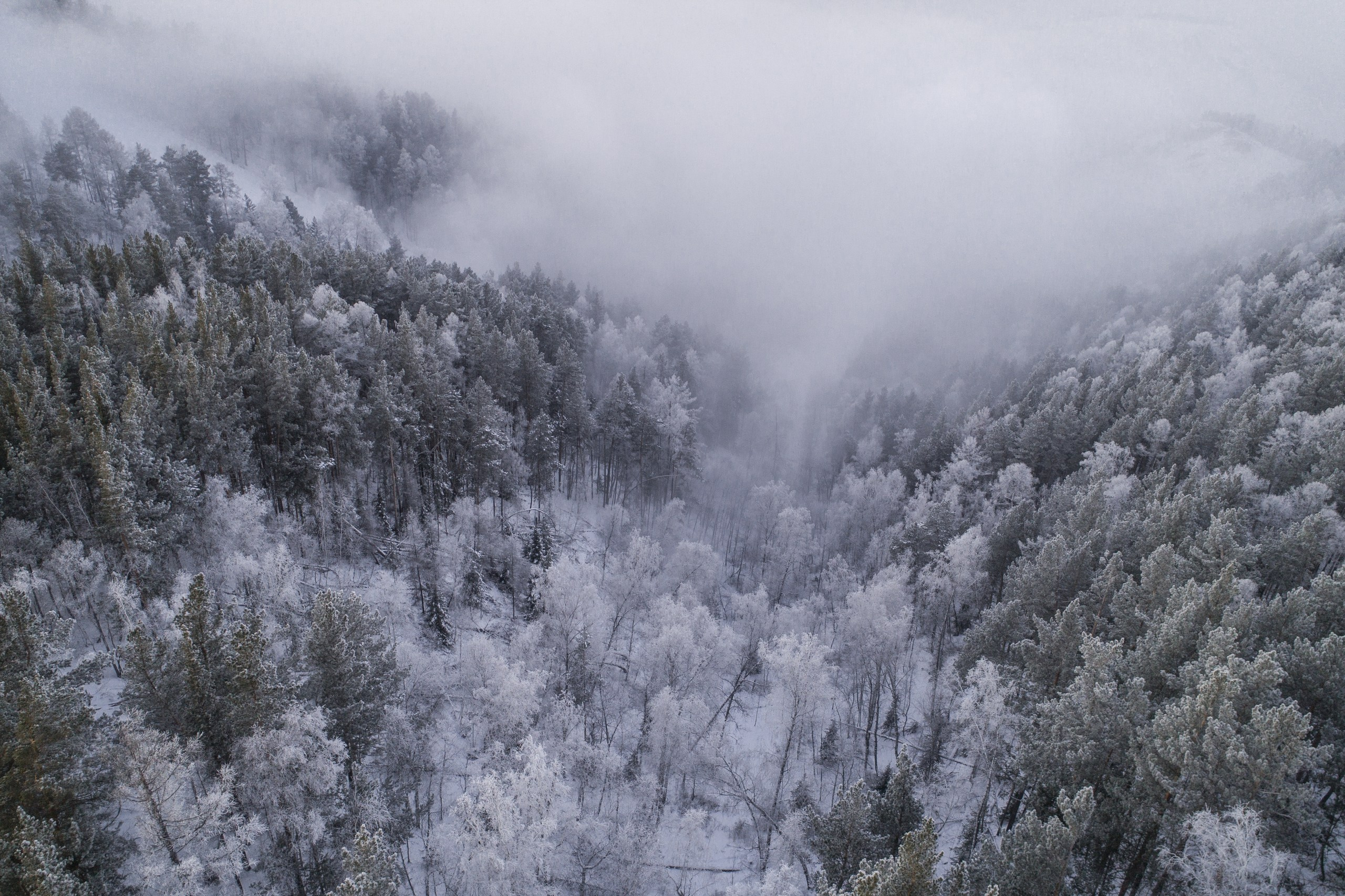 Красноярские Столбы. Фотограф в Красноярске Нерозя Александр. Пейзаж, природа, портрет