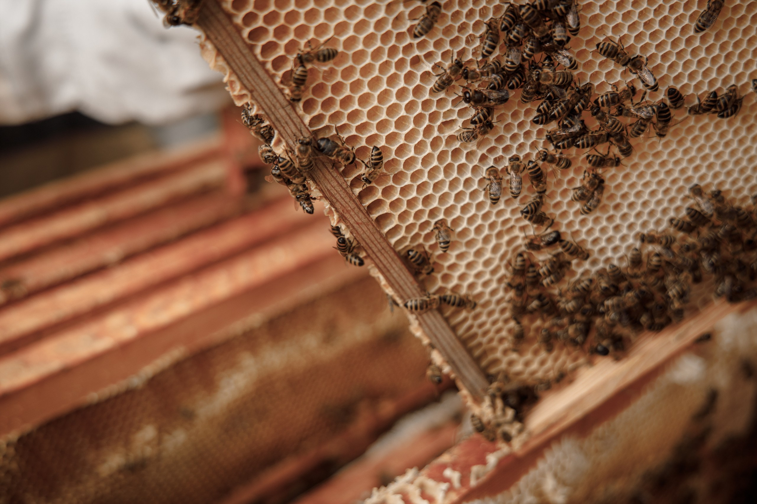 Верность делу. Фотограф в Красноярске Нерозя Александр. Пейзаж, природа, портрет