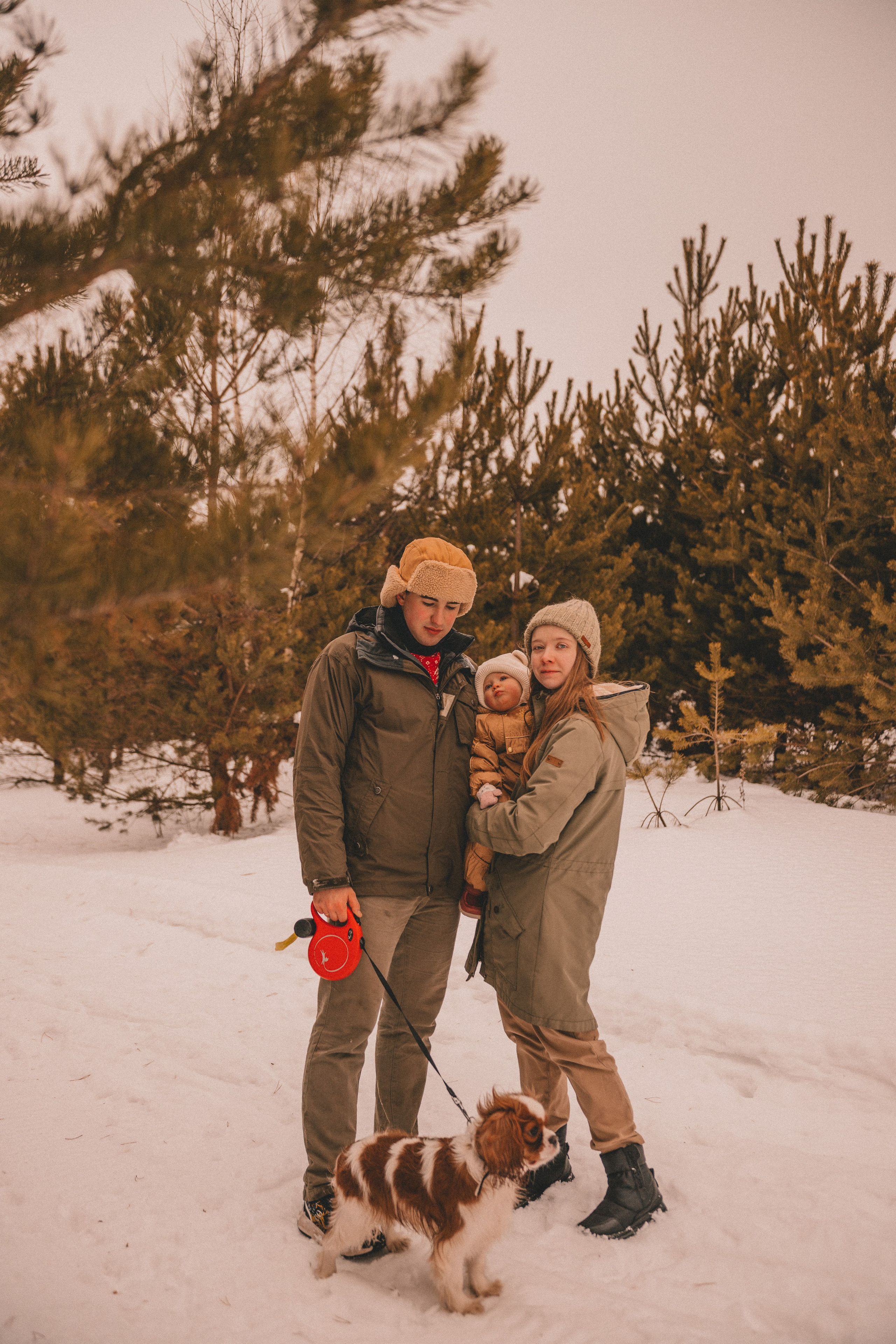 Зимний лес. Детский и семейный фотограф в Москве Светлана Шабалина