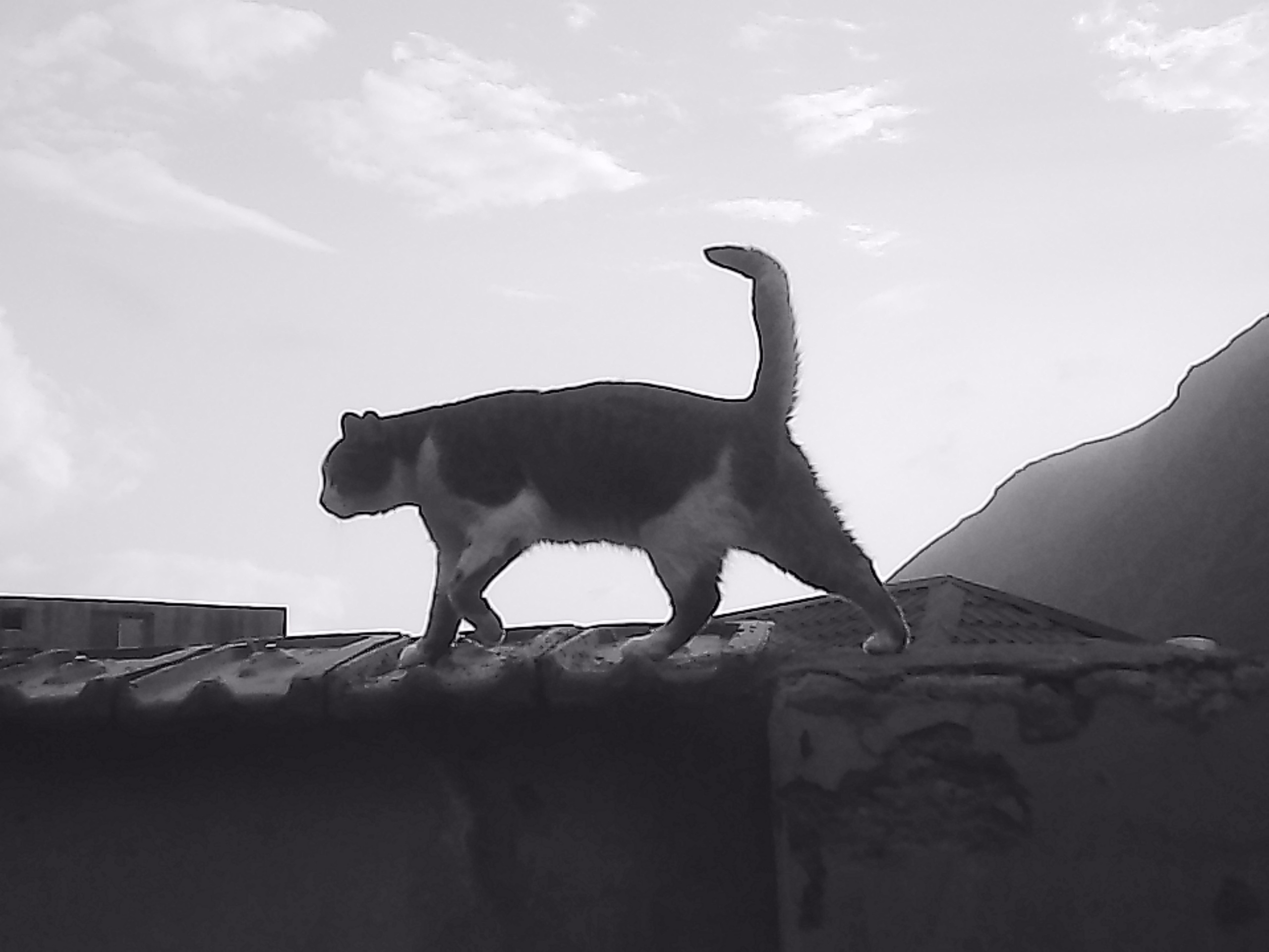 «Крошка 🐣». Anita_photo