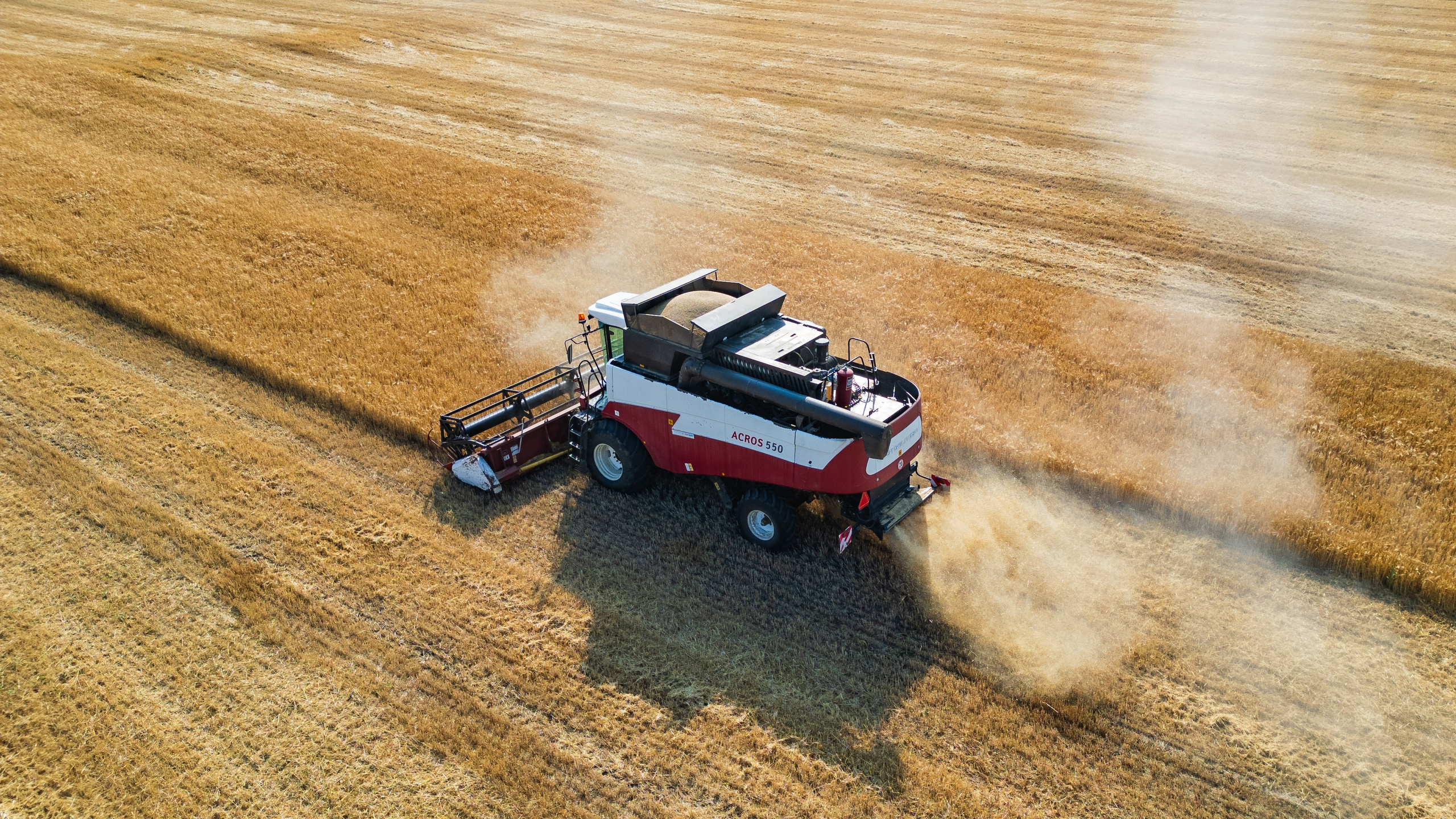 Проекты. Профессиональный фотограф Вячеслав Плацында | Липецк |